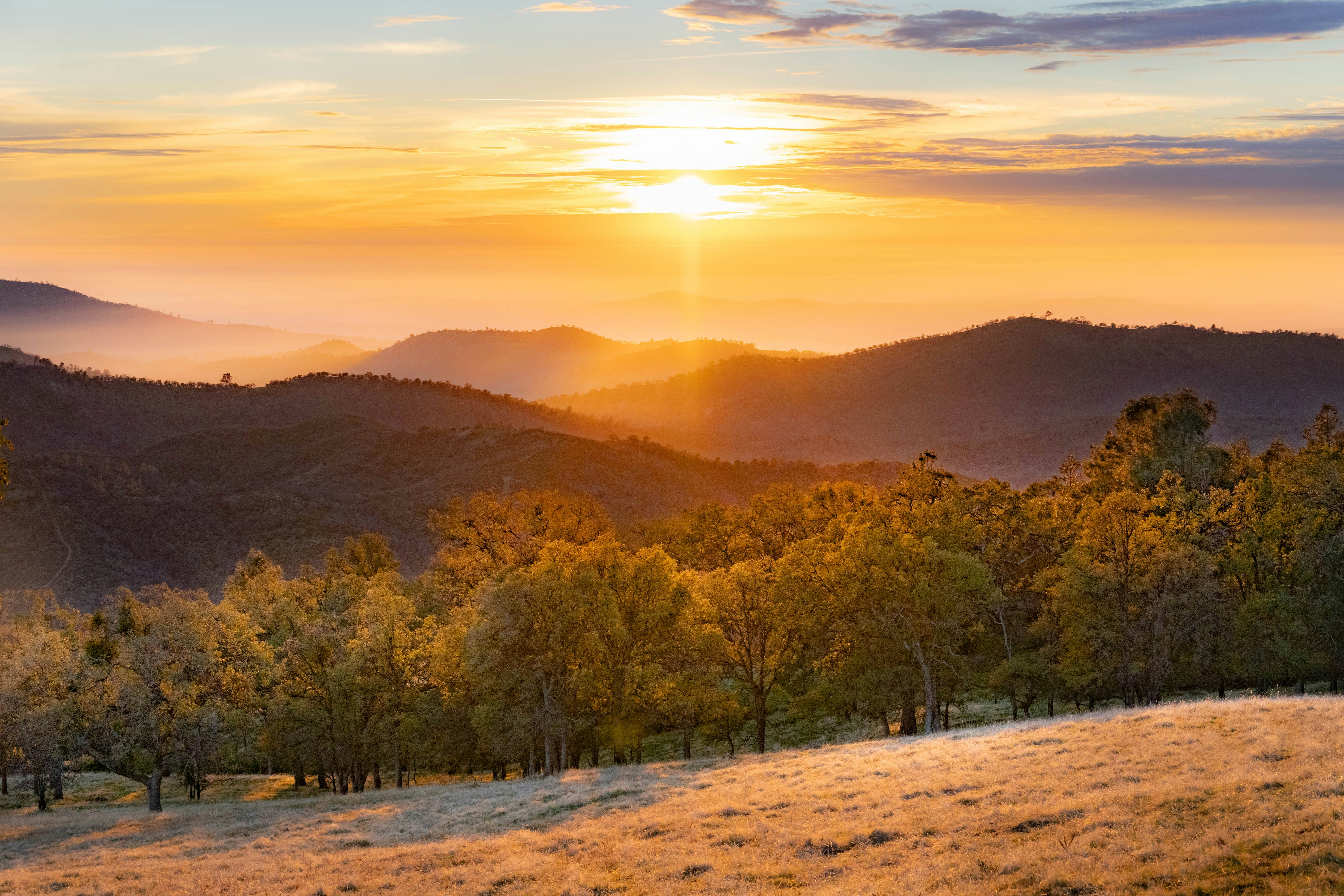 Photo by goldencoastgrams