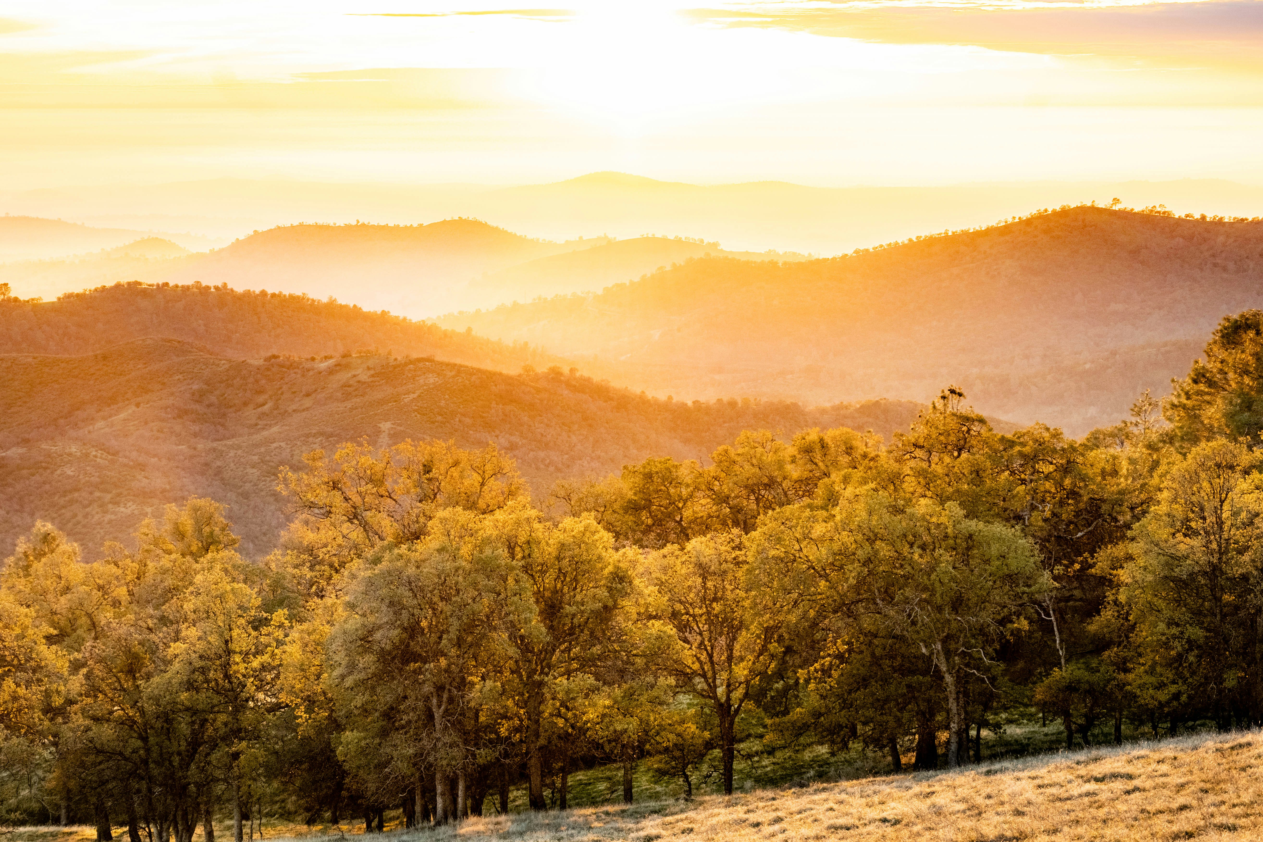 Photo by goldencoastgrams