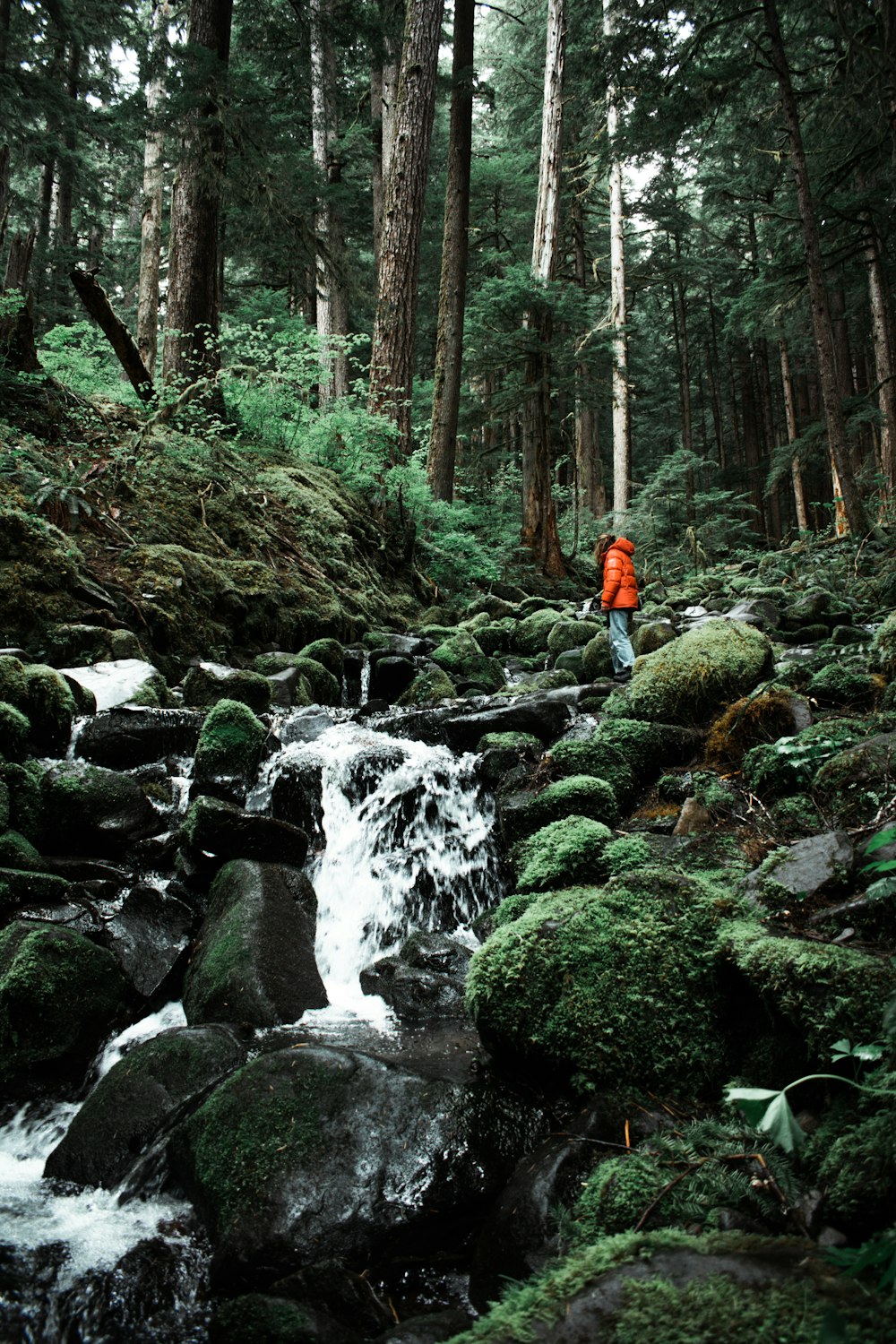 a person in an orange jacket standing on rocks near a stream