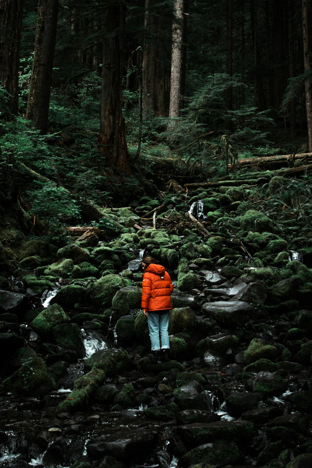 a person in an orange jacket standing in a forest