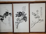 Three framed artworks feature traditional Chinese ink paintings depicting trees or plants with calligraphy accompanying each piece. The brushwork is expressive, with varying shades of black and gray creating depth and texture on the pale background.
