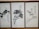Three framed artworks feature traditional Chinese ink paintings depicting trees or plants with calligraphy accompanying each piece. The brushwork is expressive, with varying shades of black and gray creating depth and texture on the pale background.
