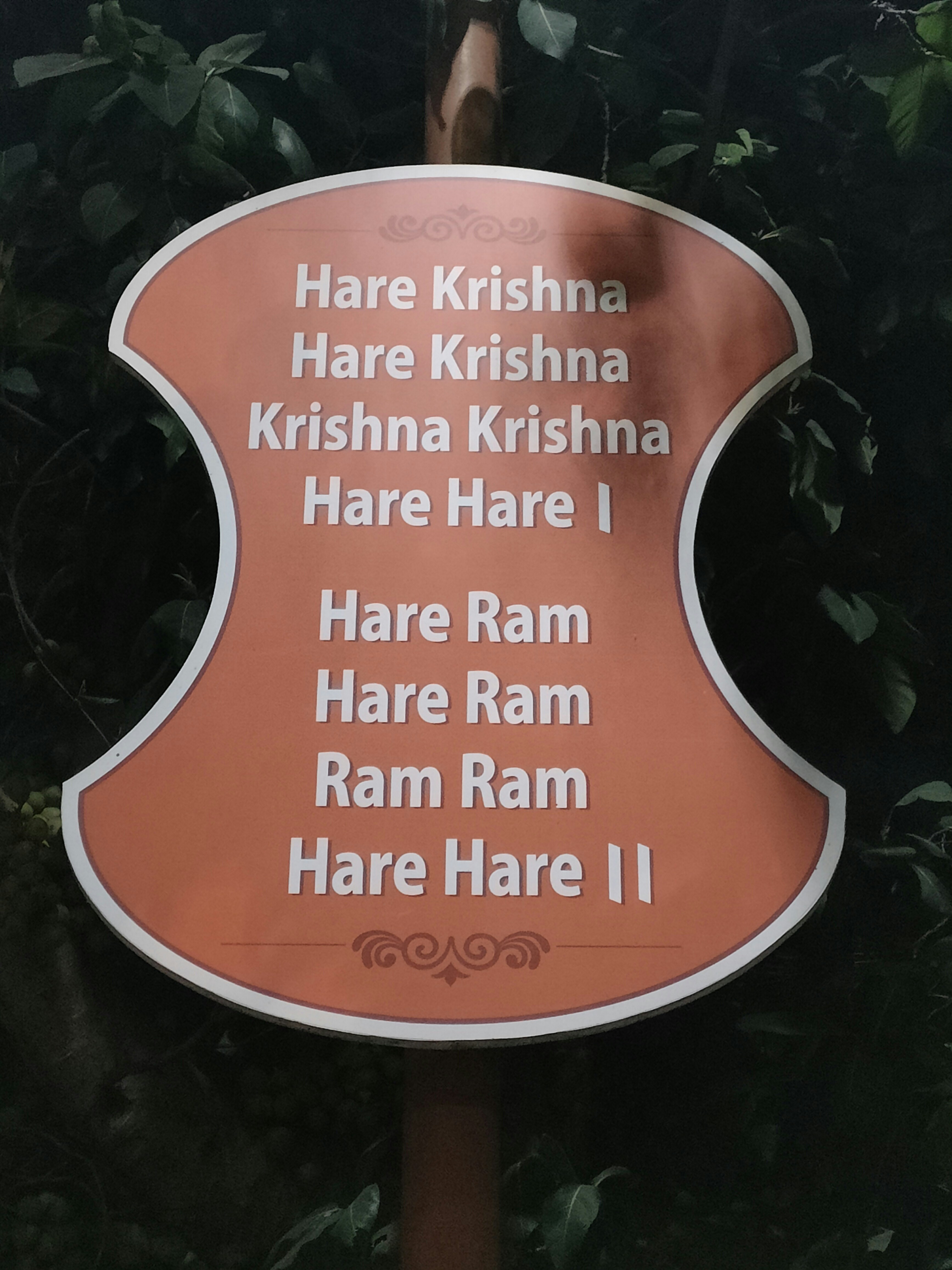 सुखी जीवन मंत्र: एक खुशहाल जीवन के लिए महत्वपूर्ण तथ्य