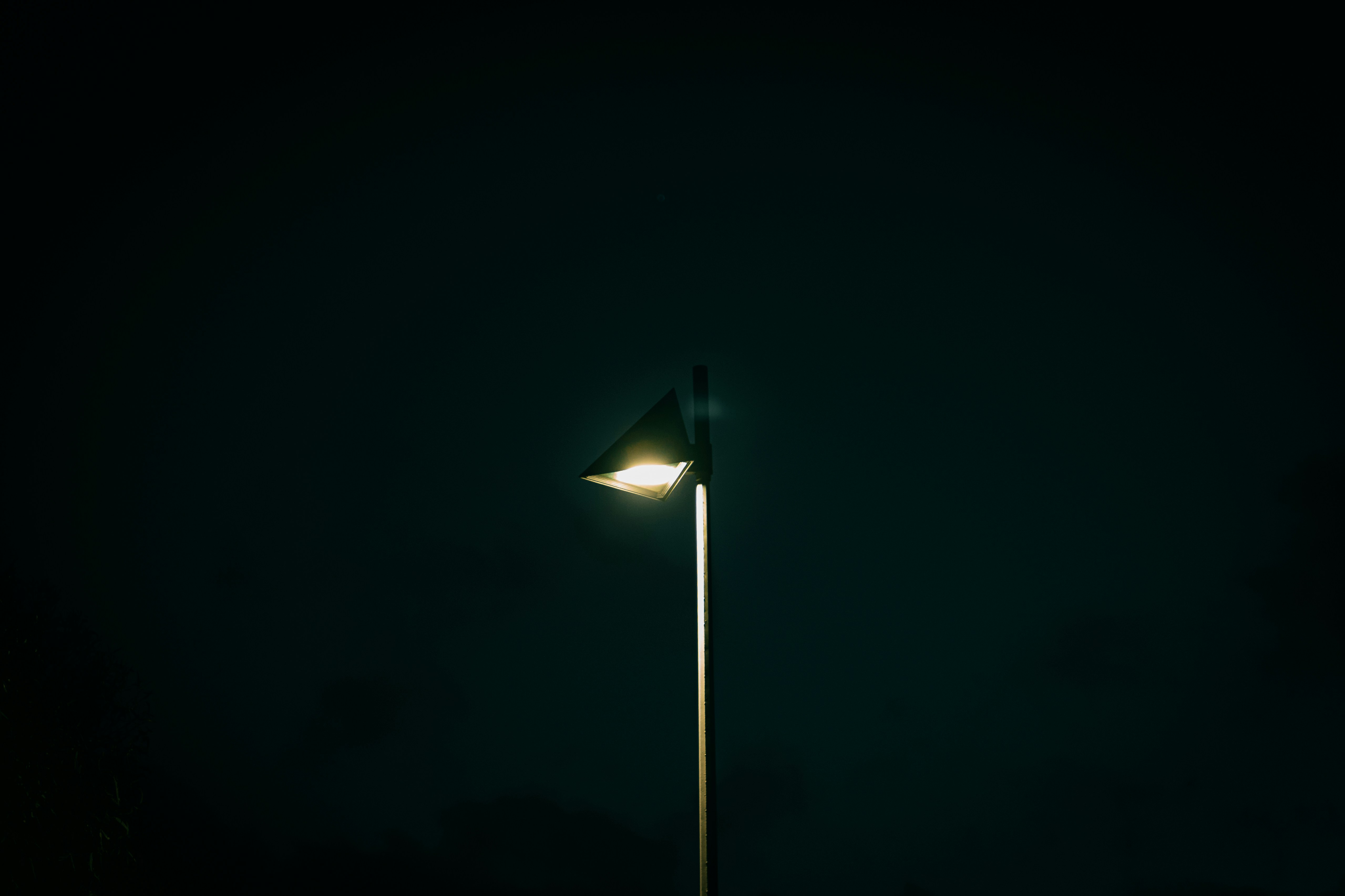 Photo by miguelmendes