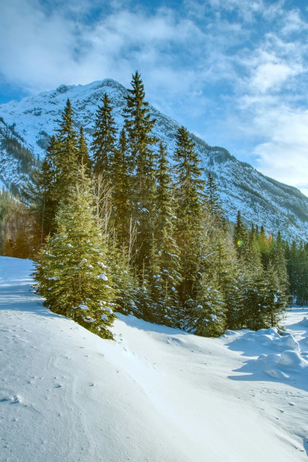 a person riding skis on a snowy surface