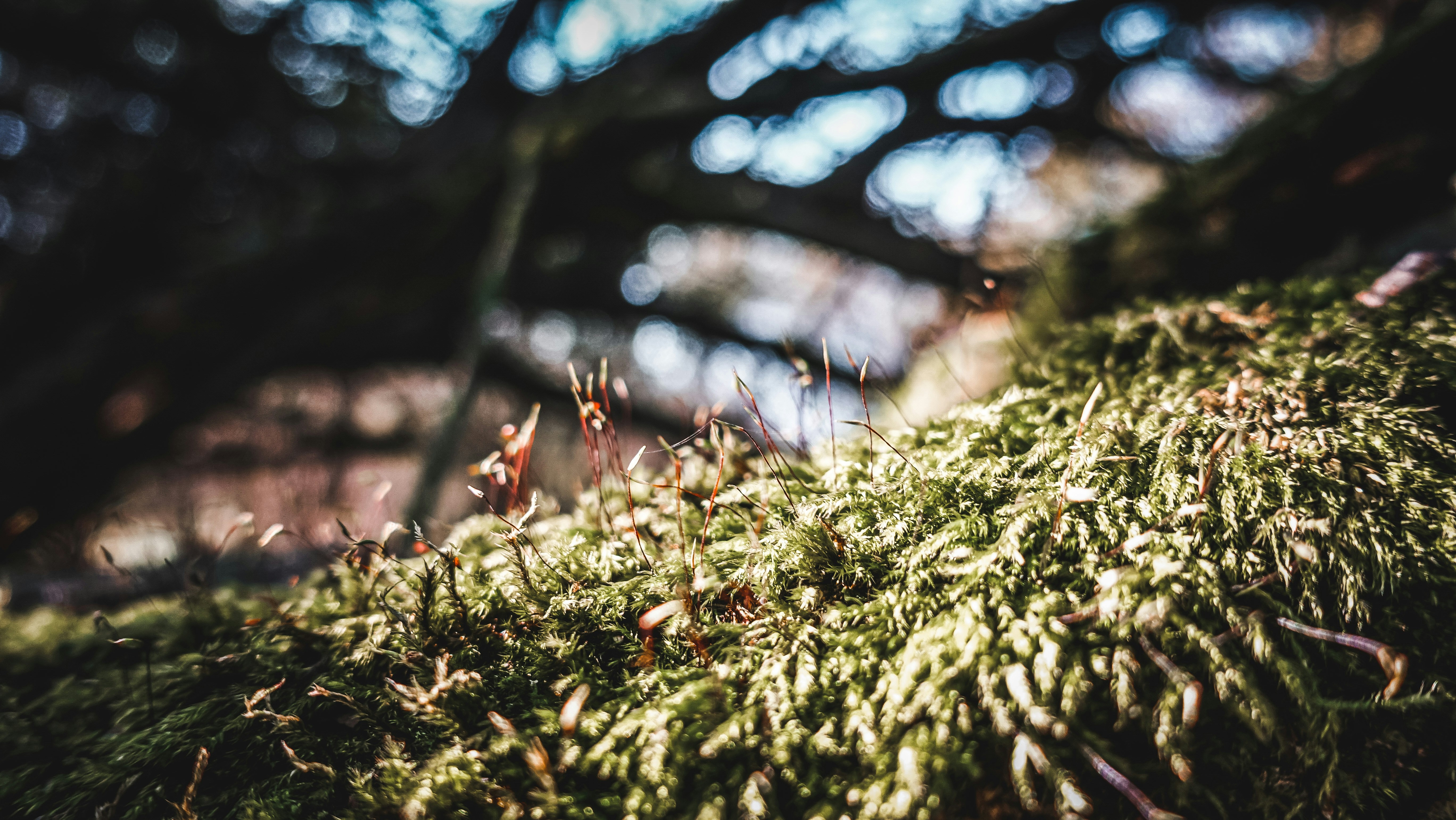 Photo by hypocriteeeee