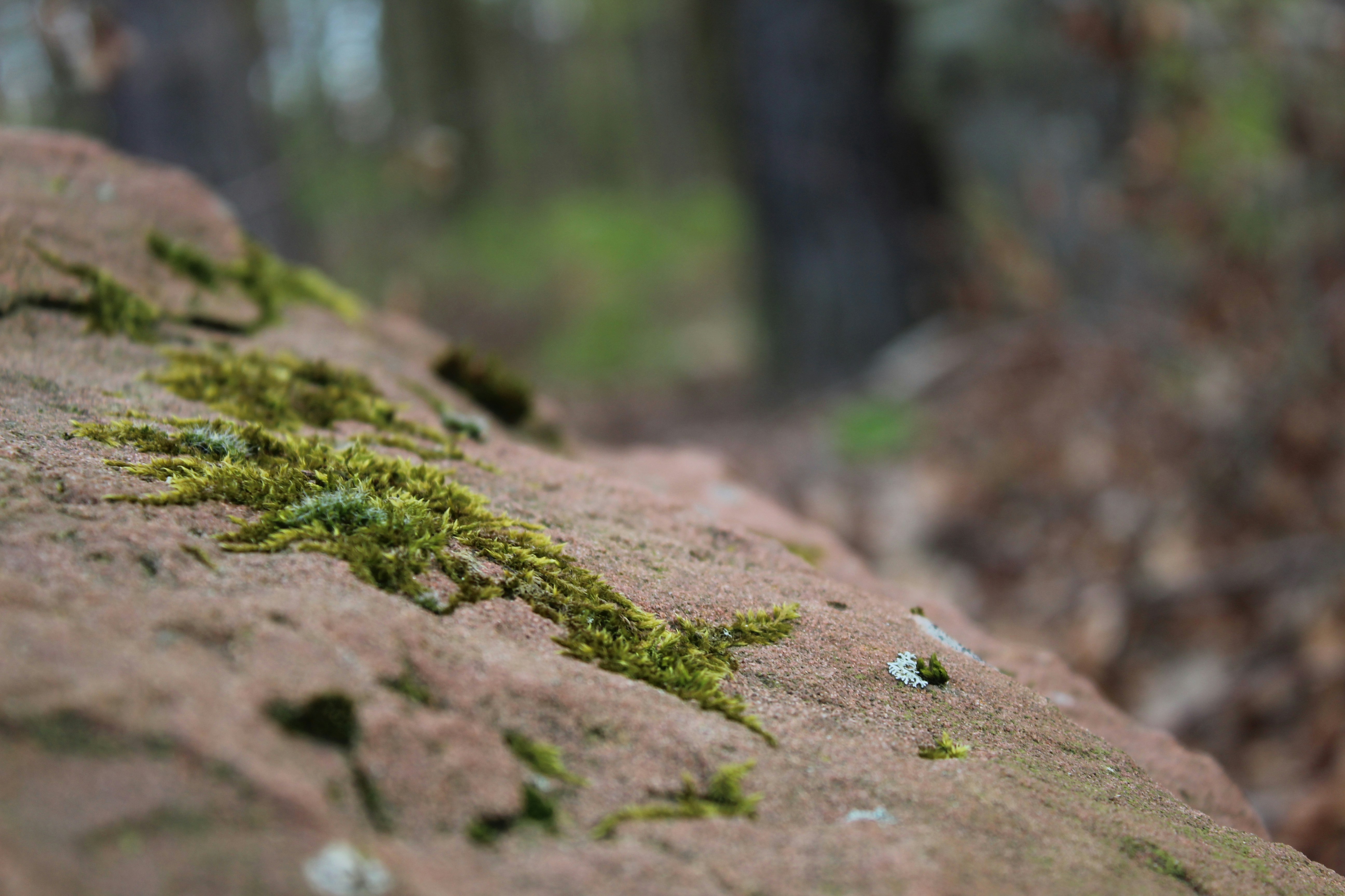 Photo by unknownserenade