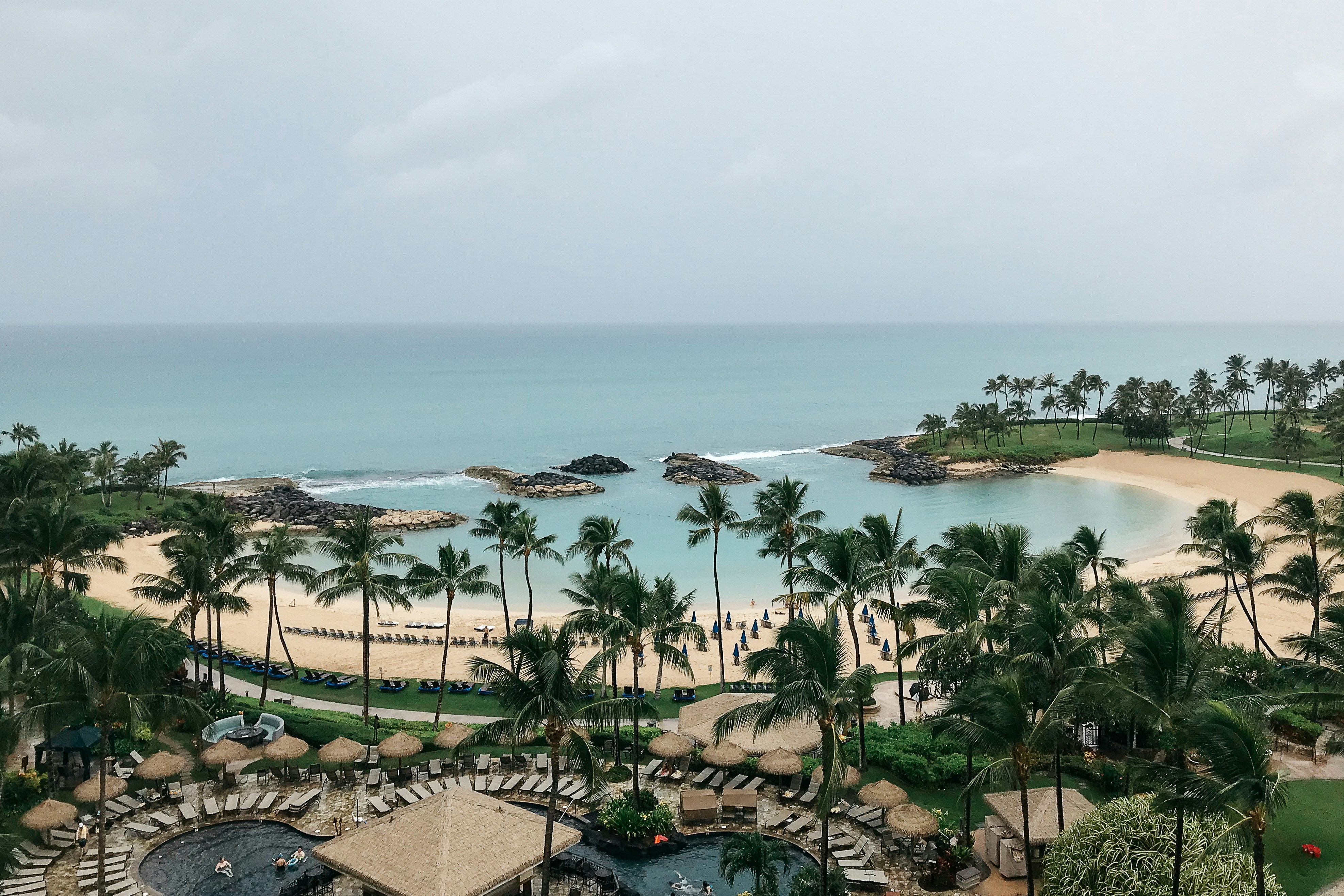 a view of a beach with palm trees and the ocean