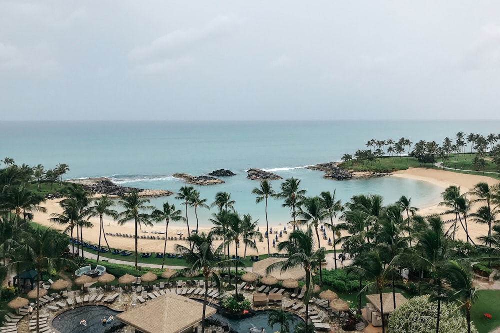 a view of a beach with palm trees and the ocean