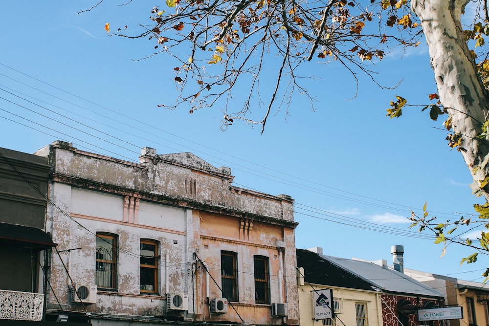 an old building with a tree in front of it