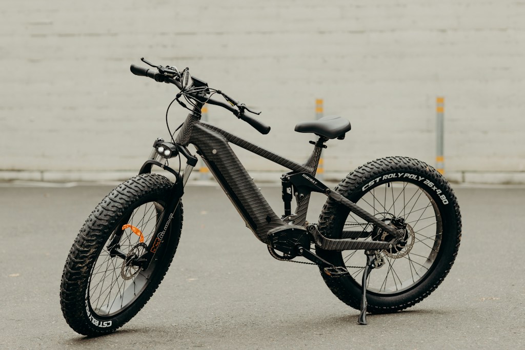 Urban Cruiser Electric Bike