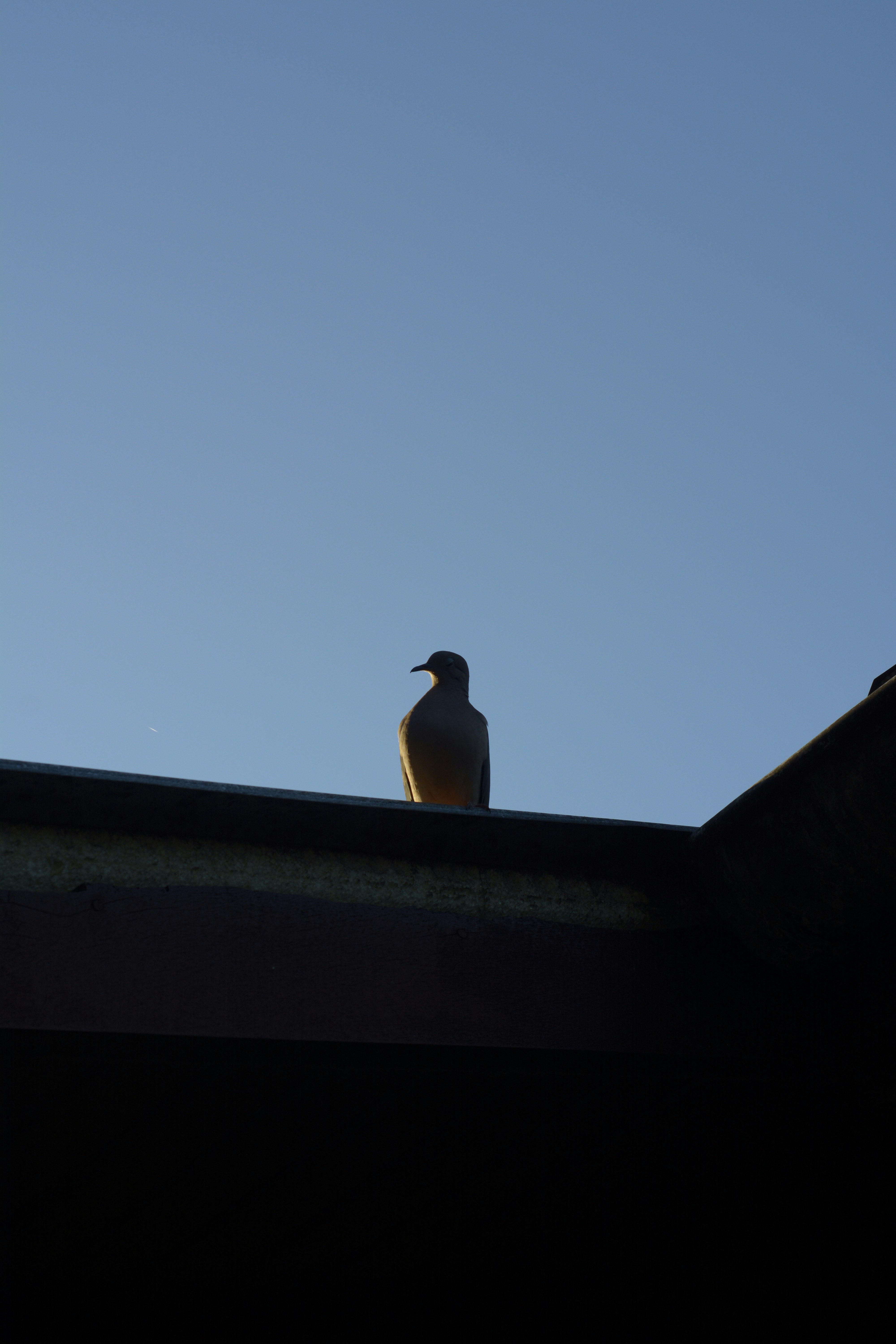 Photo by filipe_cantador