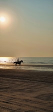 A rider on horseback along the sandy shore of Pitahaya beach at sunset.