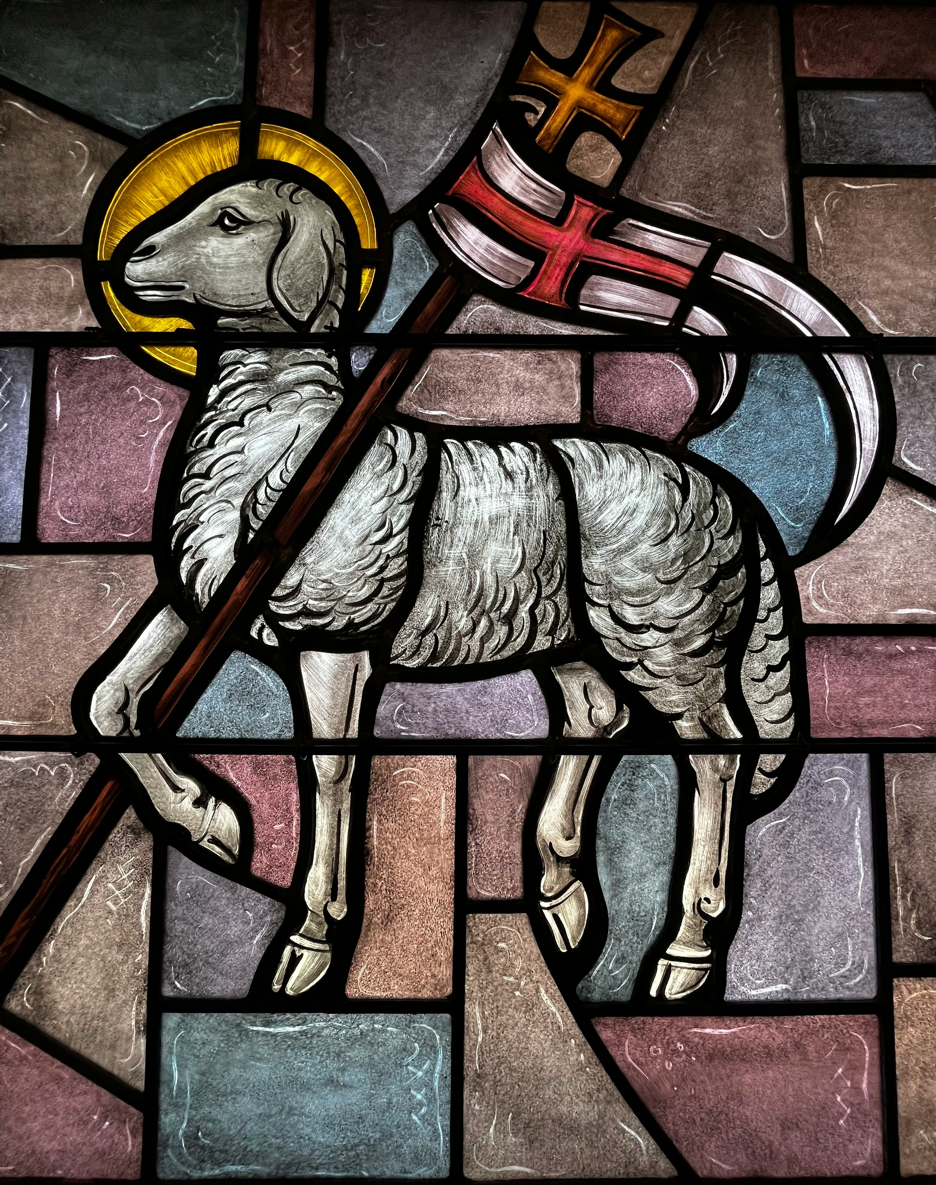 An Agnus Dei in a stained glass window from the rural Trinity Episcopal Church in Henrietta, TX.