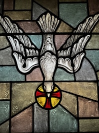 a stained glass window with a bird on it