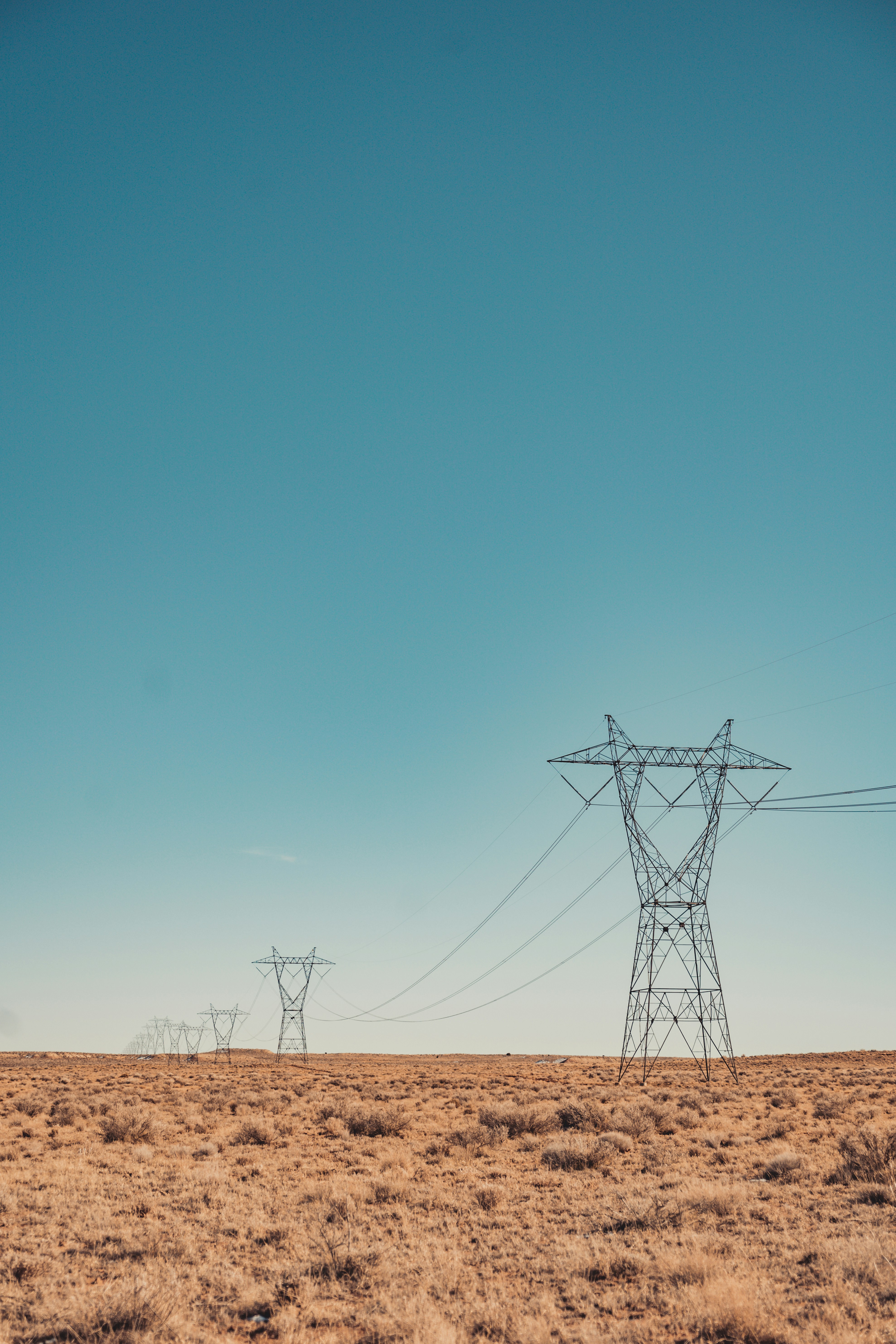 Photo by ashlynnjola