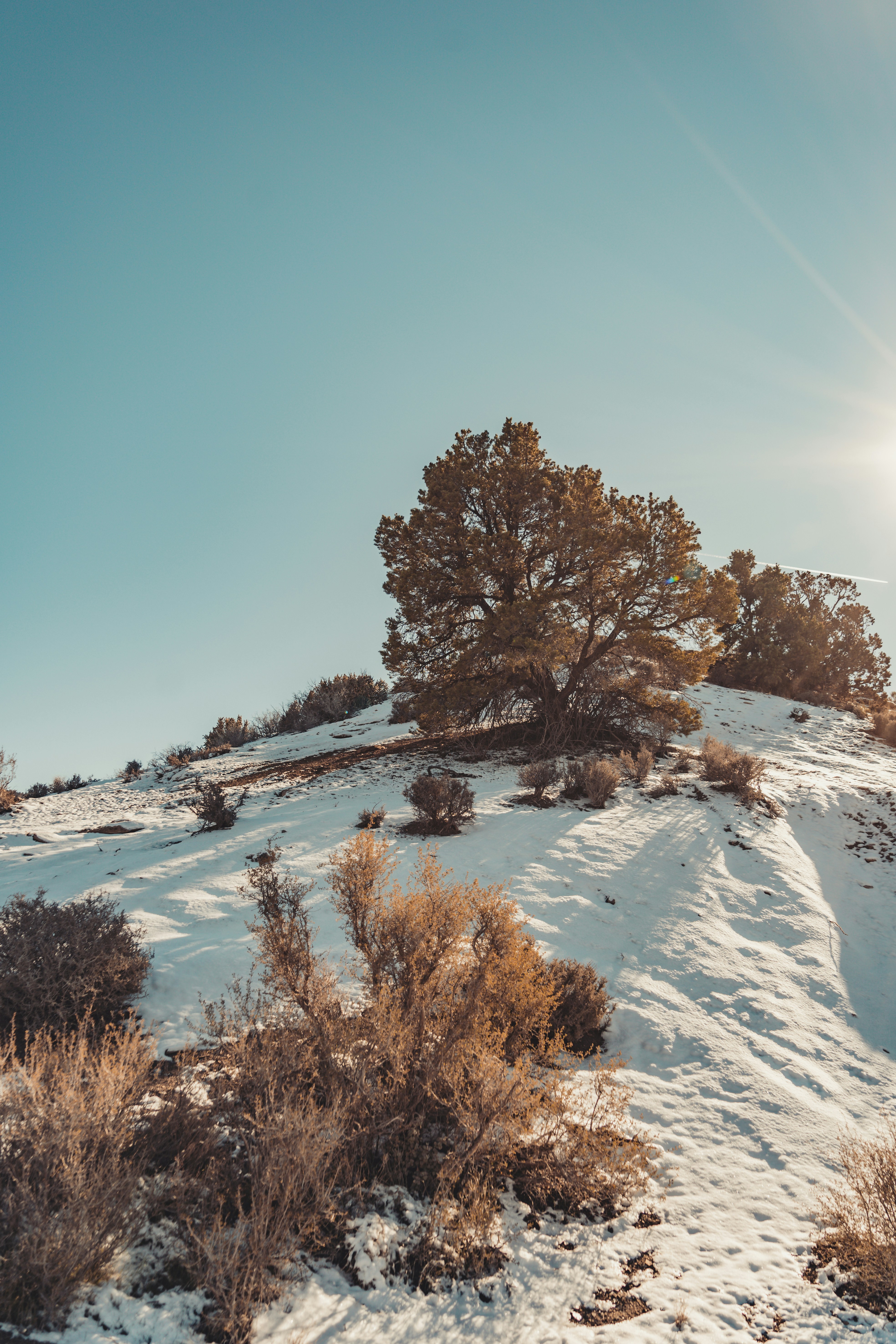 the sun shines brightly on a snowy hill
