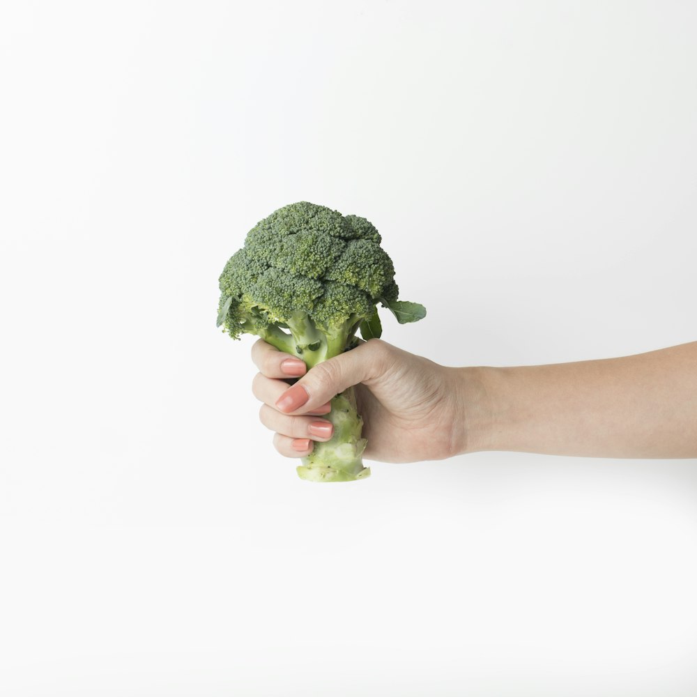 a person holding a piece of broccoli in their hand