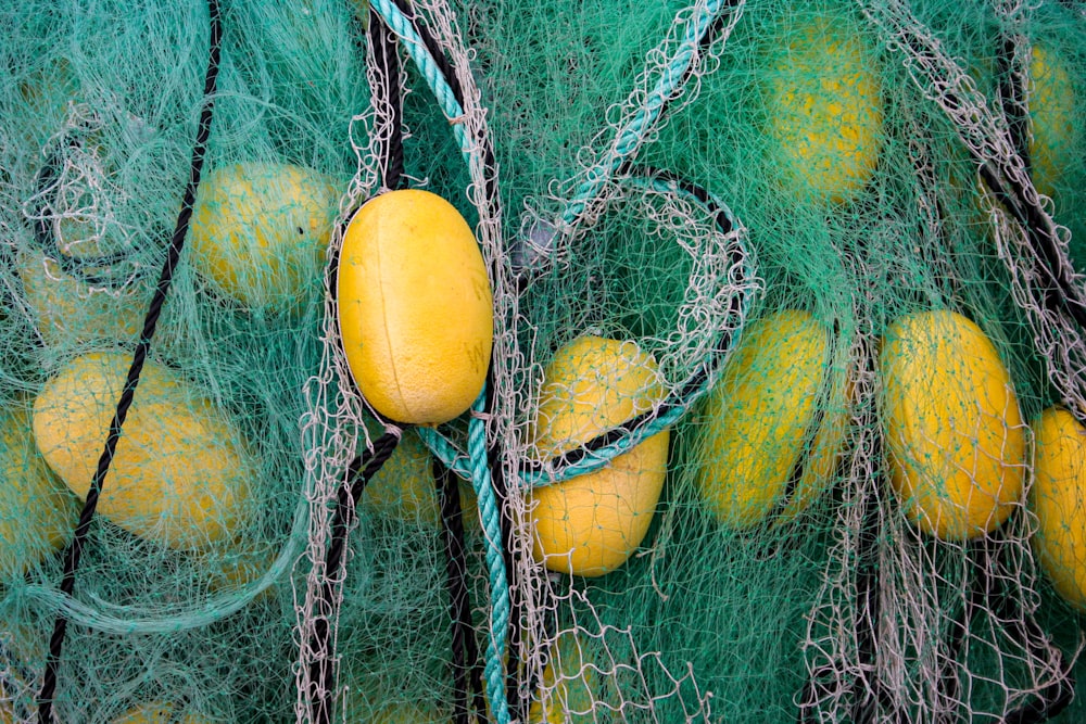 緑の網の中に座っている黄色い果物の山