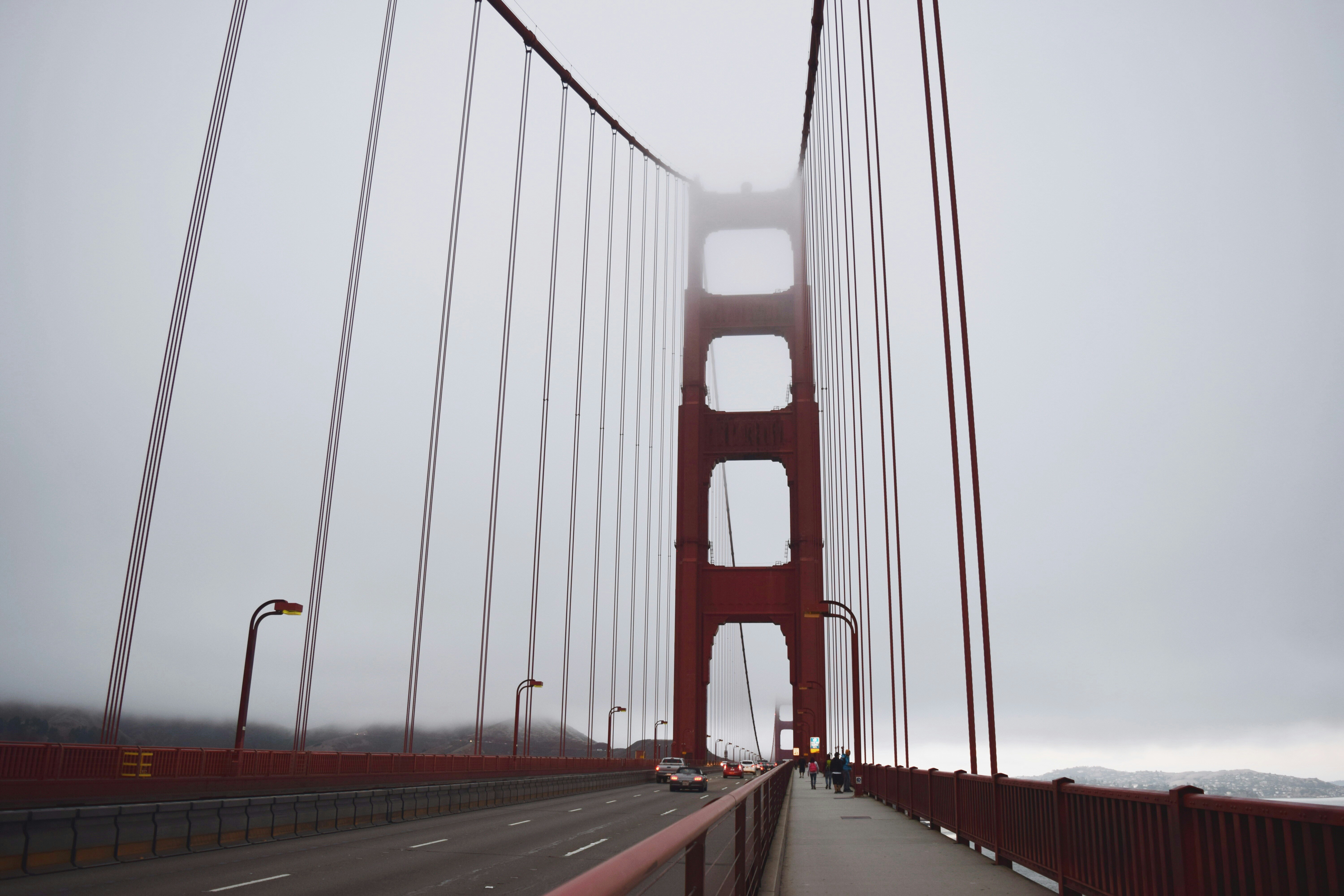 Photo by p_kuzovkova