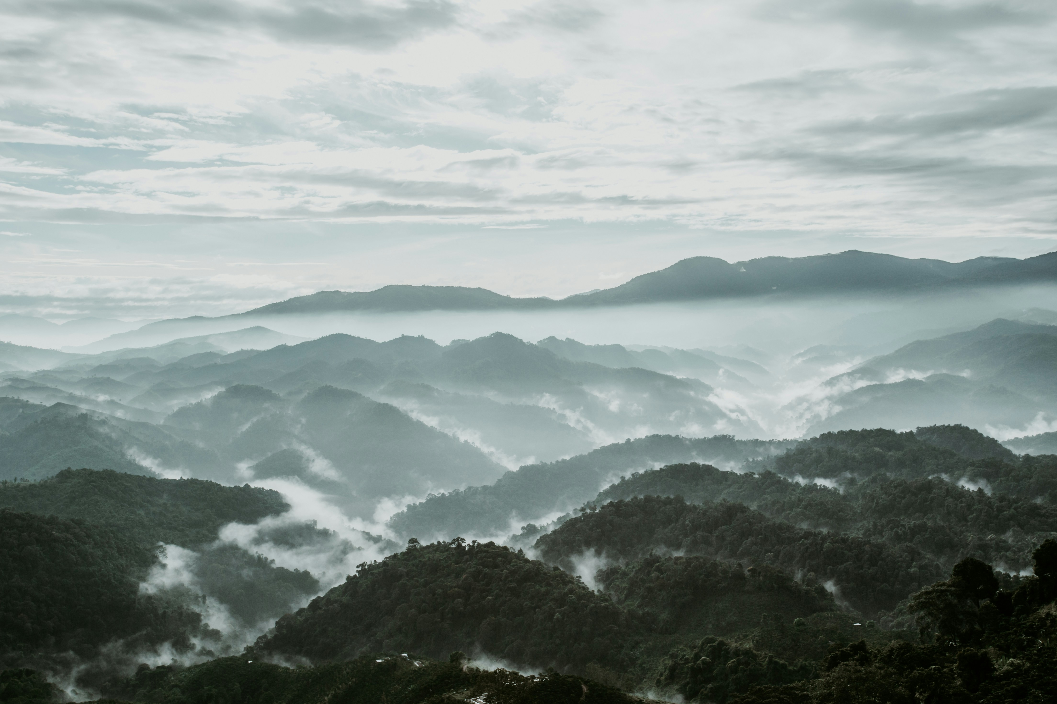 Photo by quangdieu195