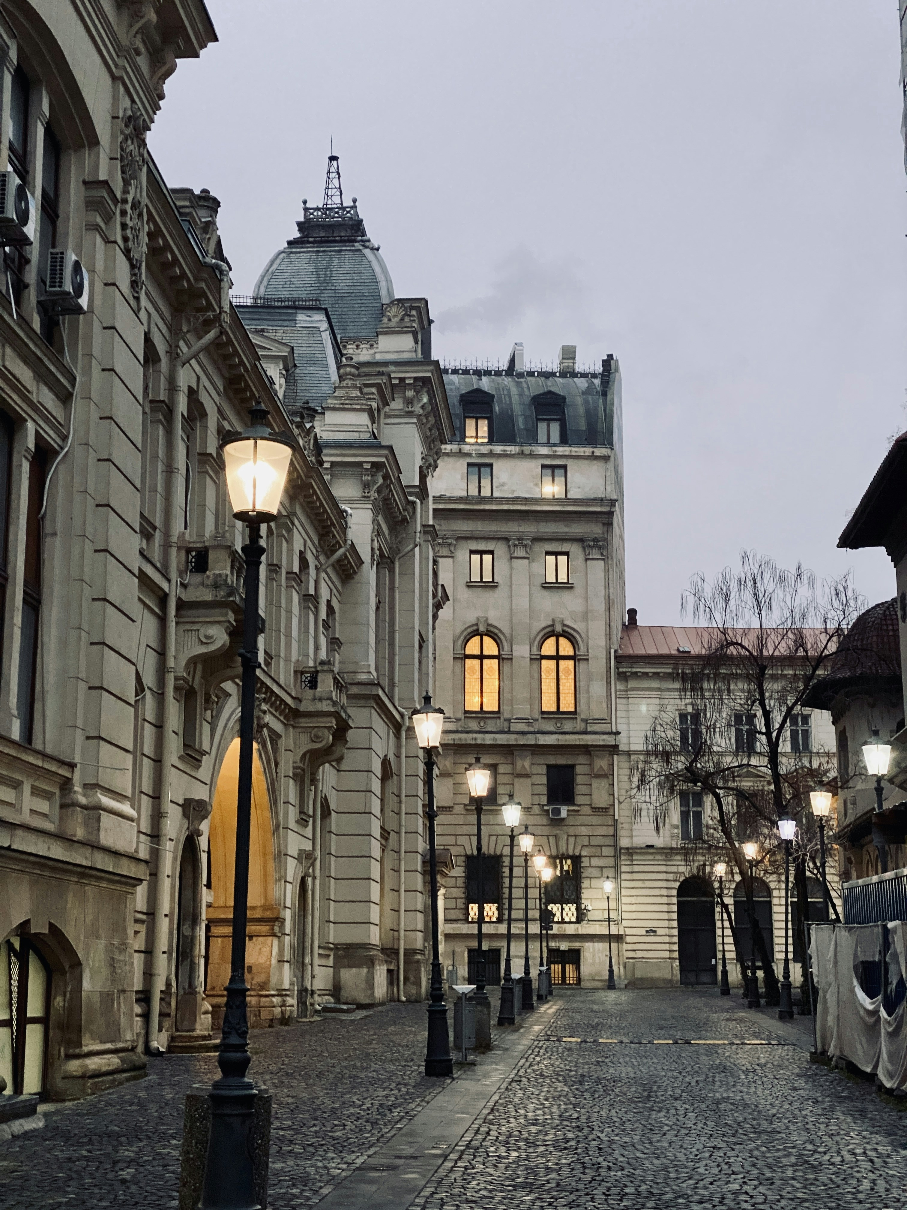 Photo by sarurobert1