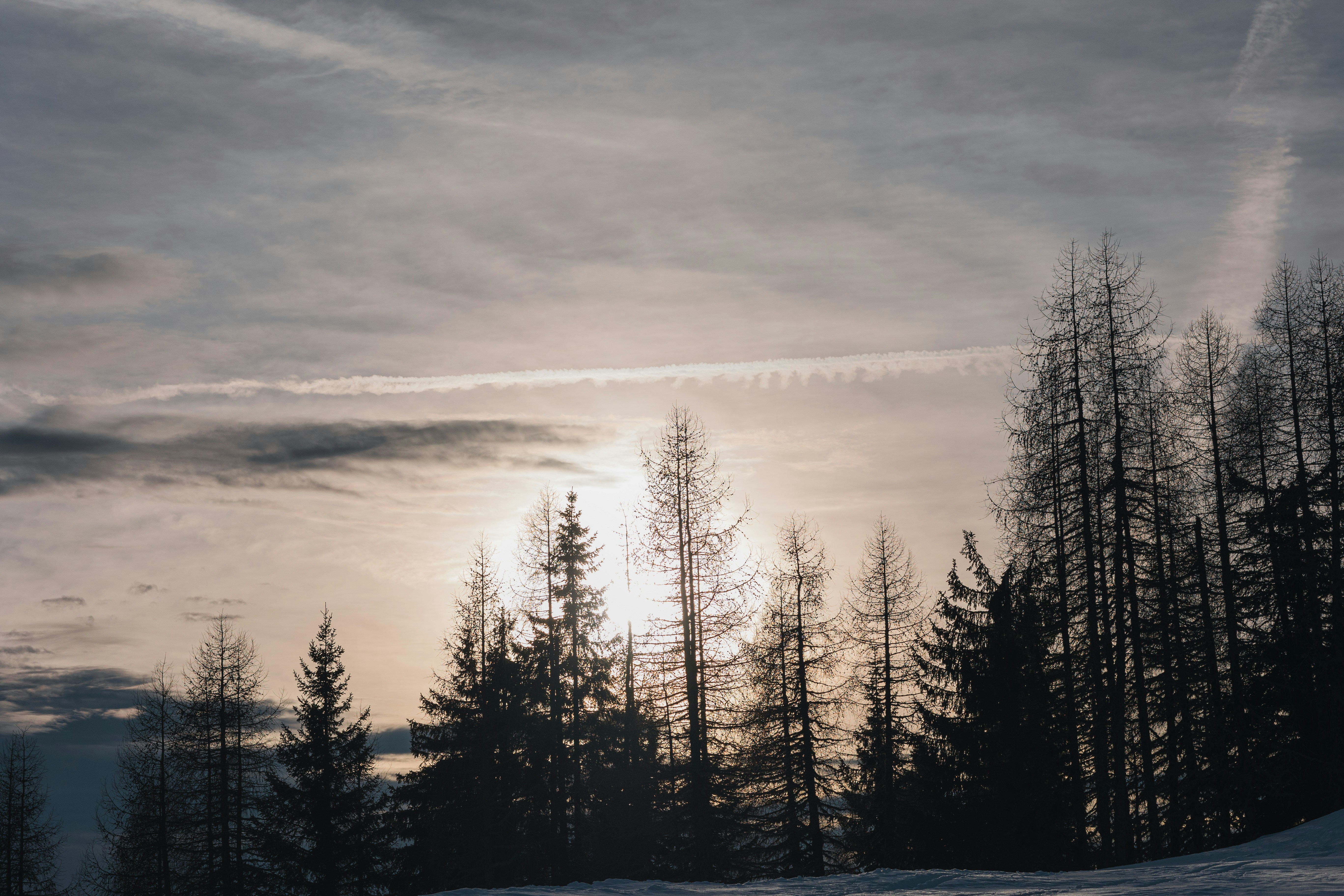 Photo by alex_gruber