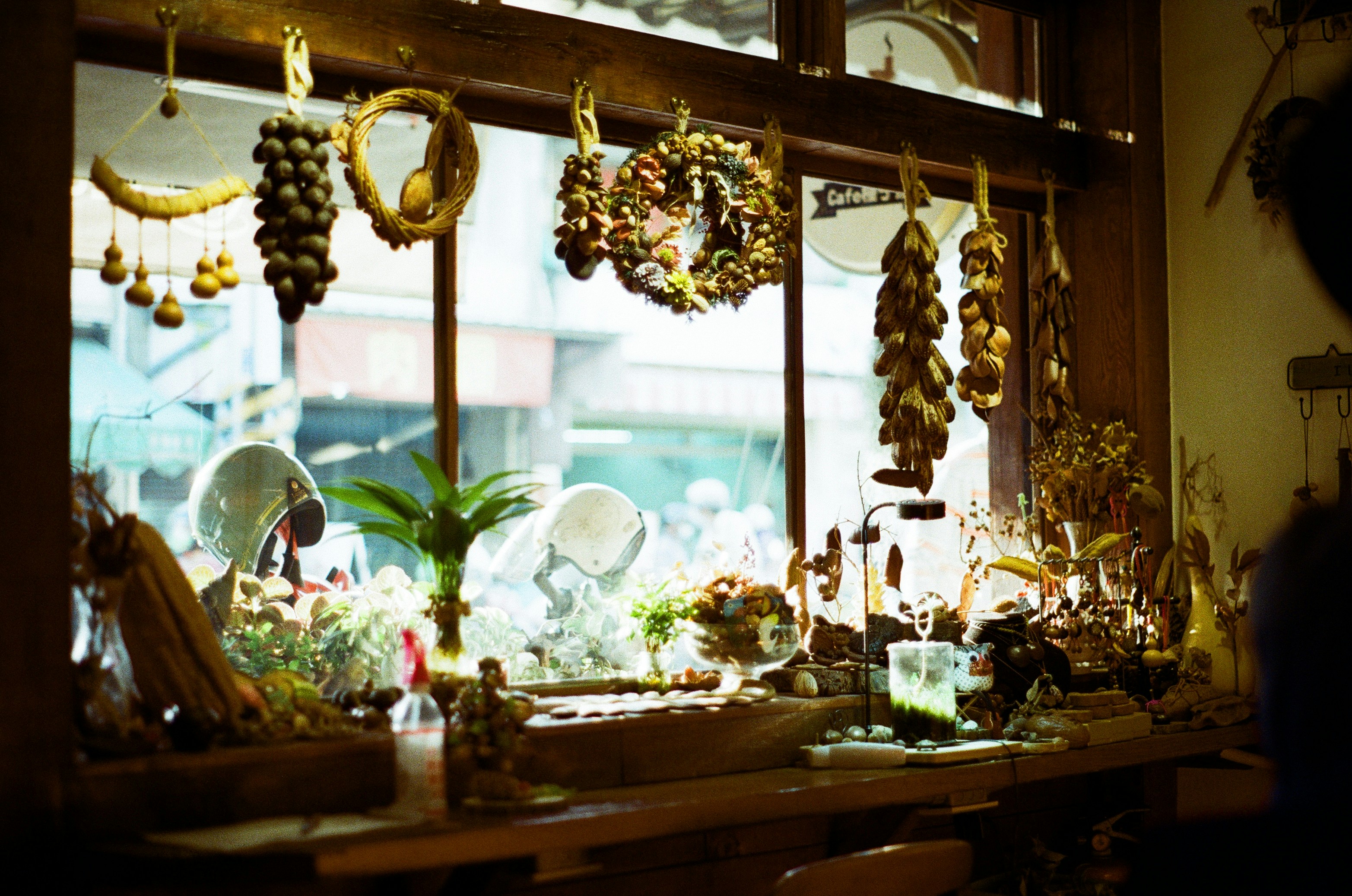 a window with a bunch of hanging items on it