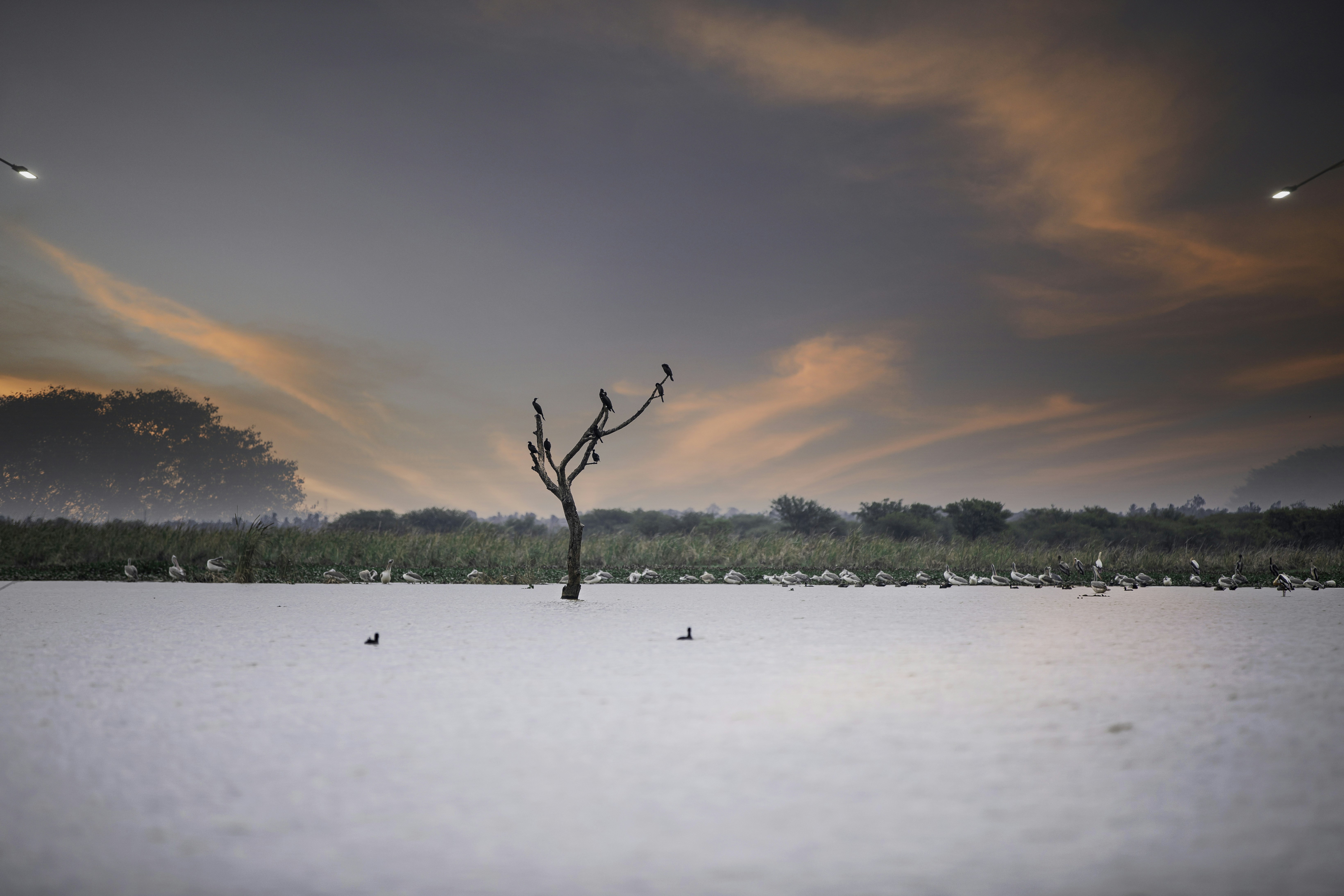 Photo by anil_sharma_india
