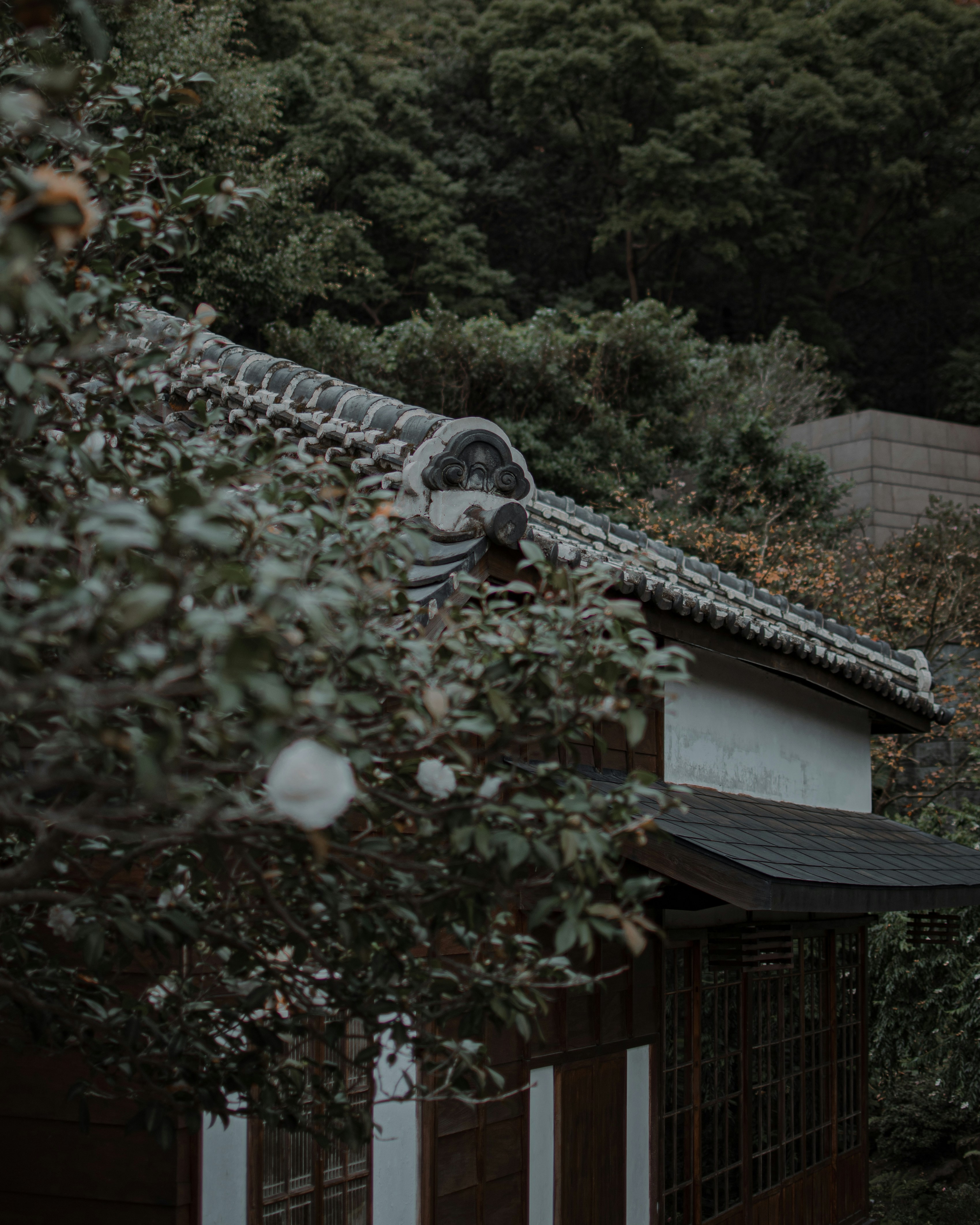 Photo by junhochak