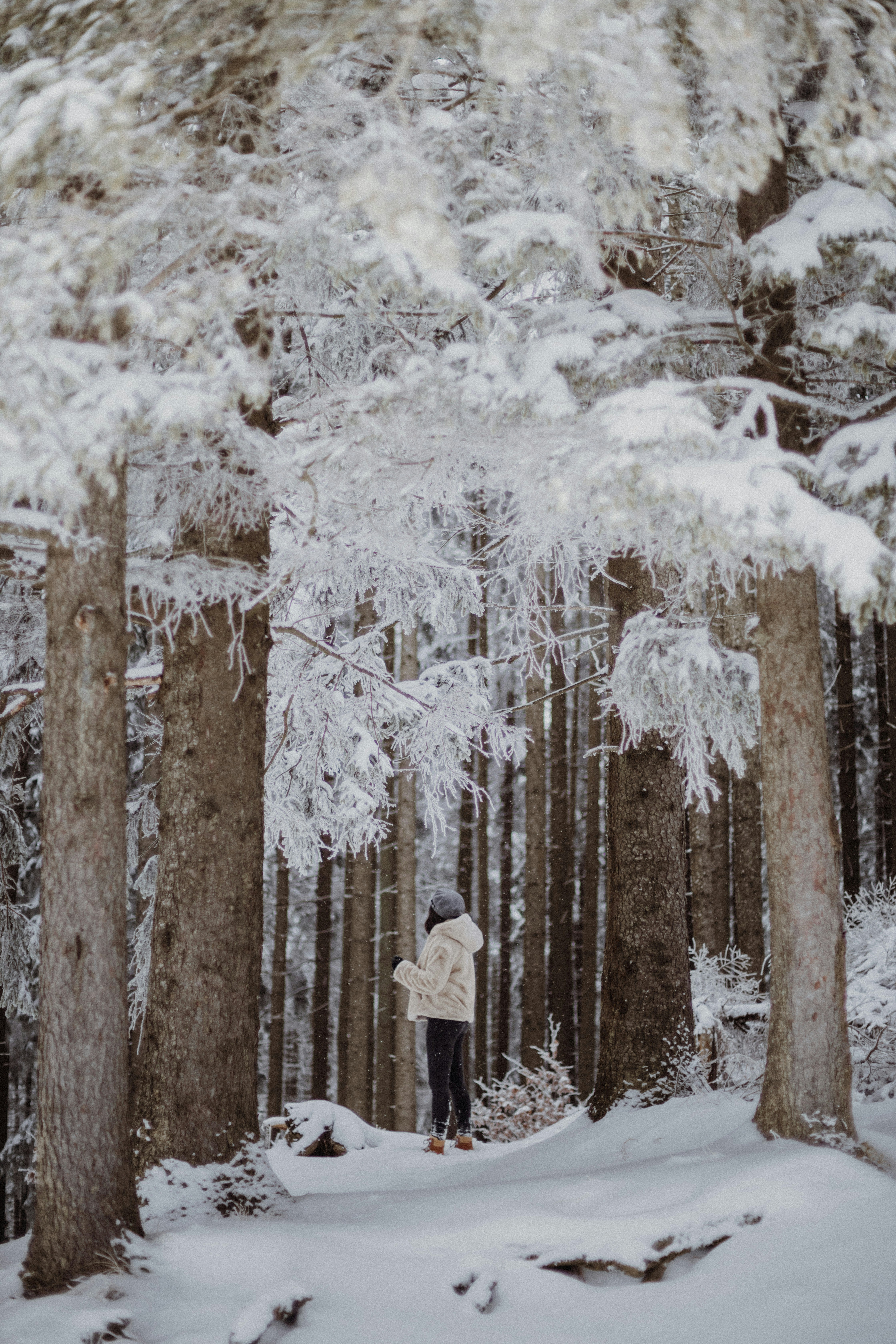 Photo by sabinasturzu
