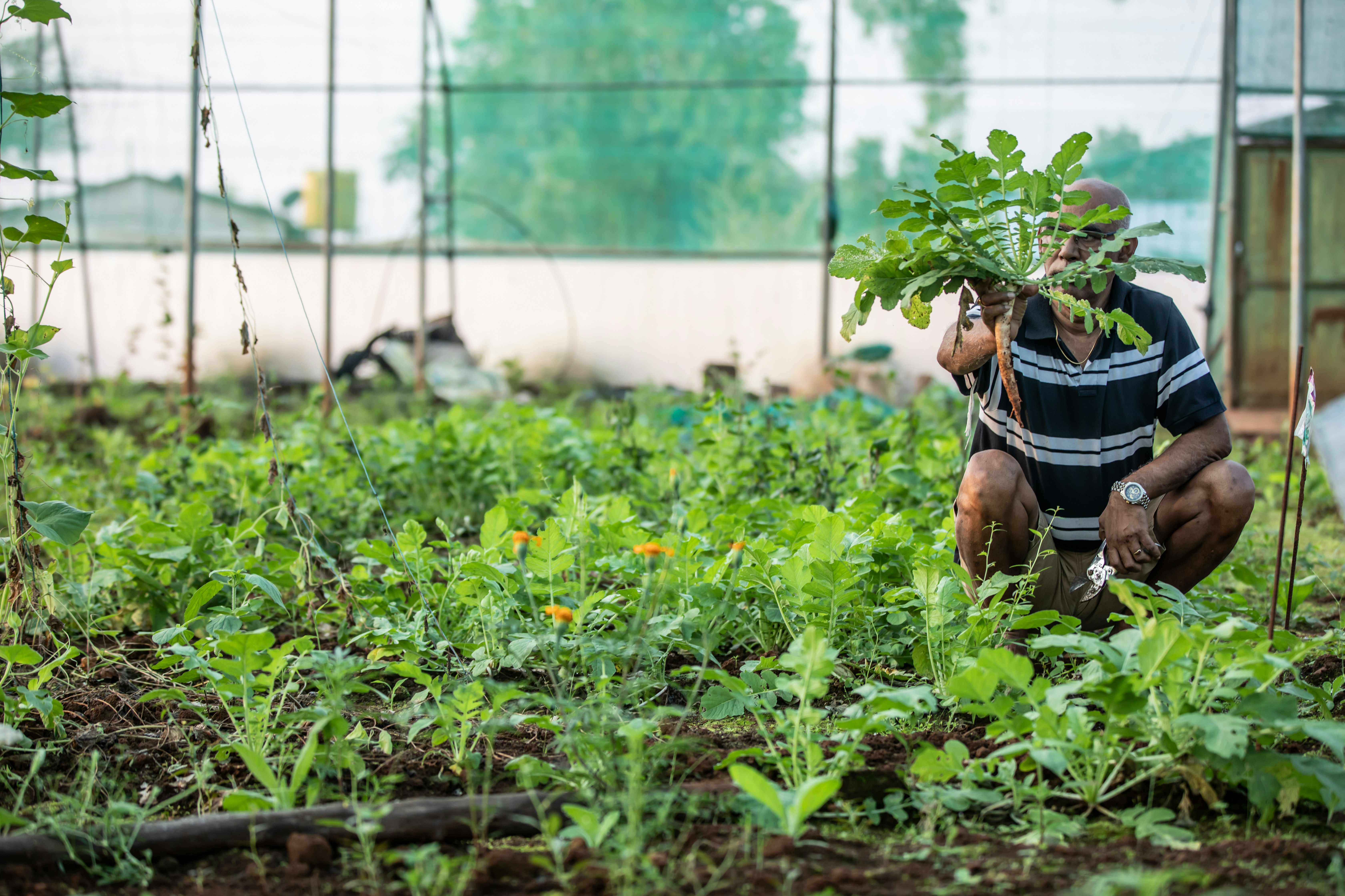 Photo by anil_sharma_india