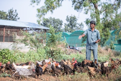 a man standing next to a bunch of chickens