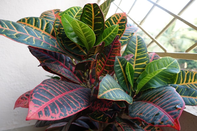 A vibrant artificial croton plant displayed in a stylish pot.