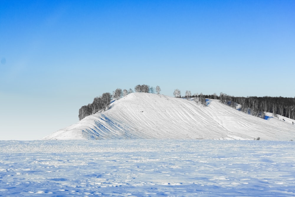 a snow covered hill with trees on top of it