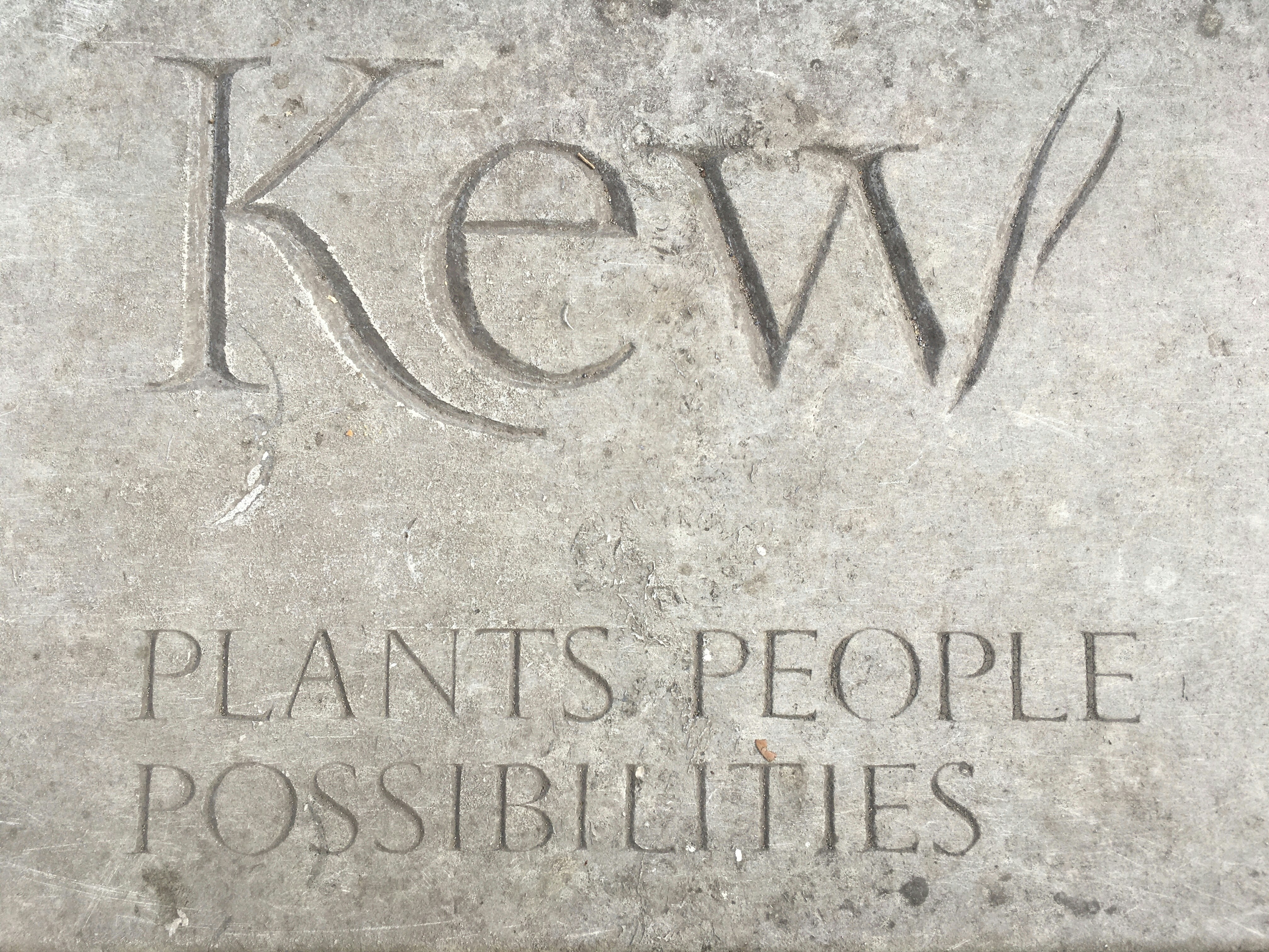 書かれた石のクローズアップ