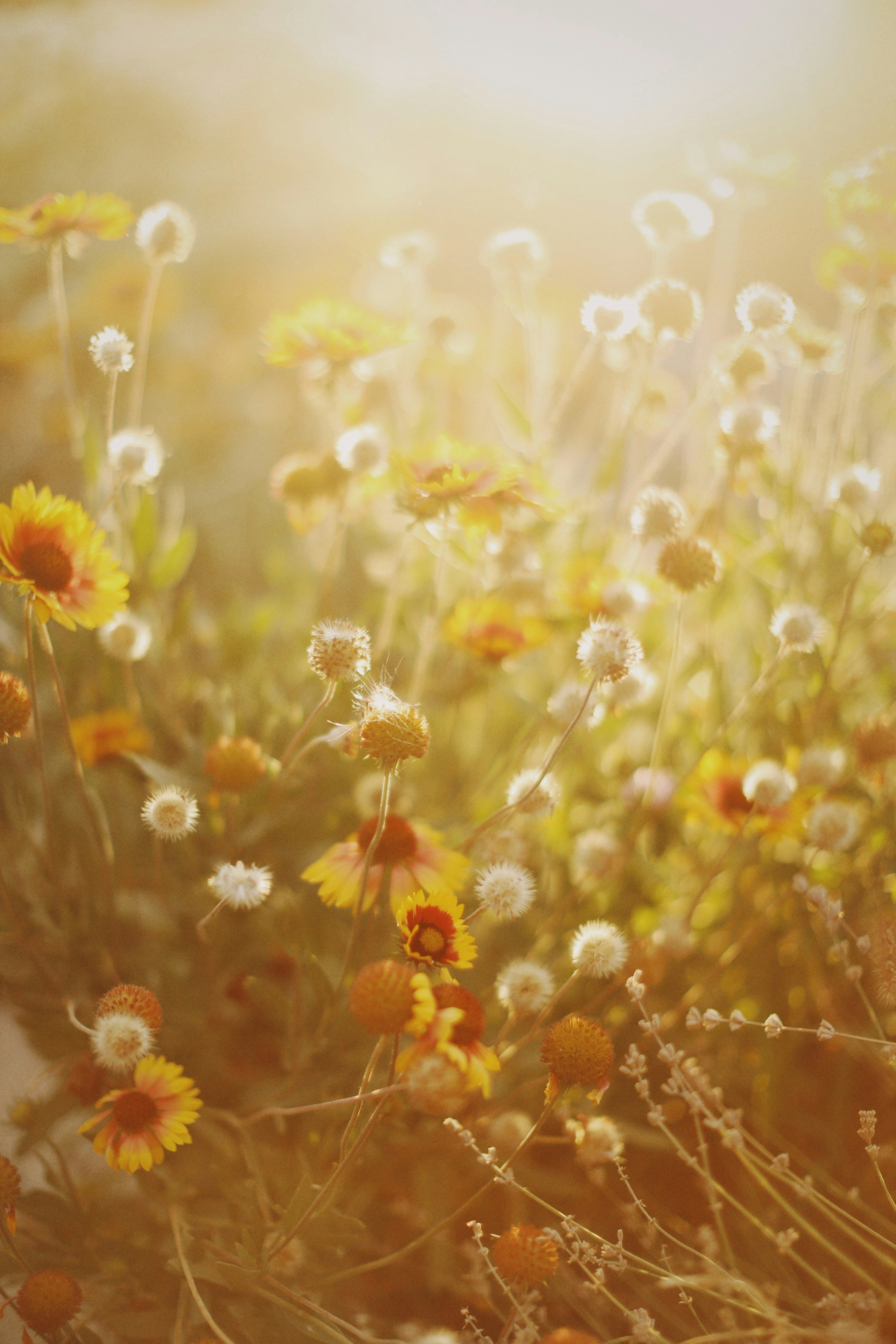 Photo by alexeydemidov