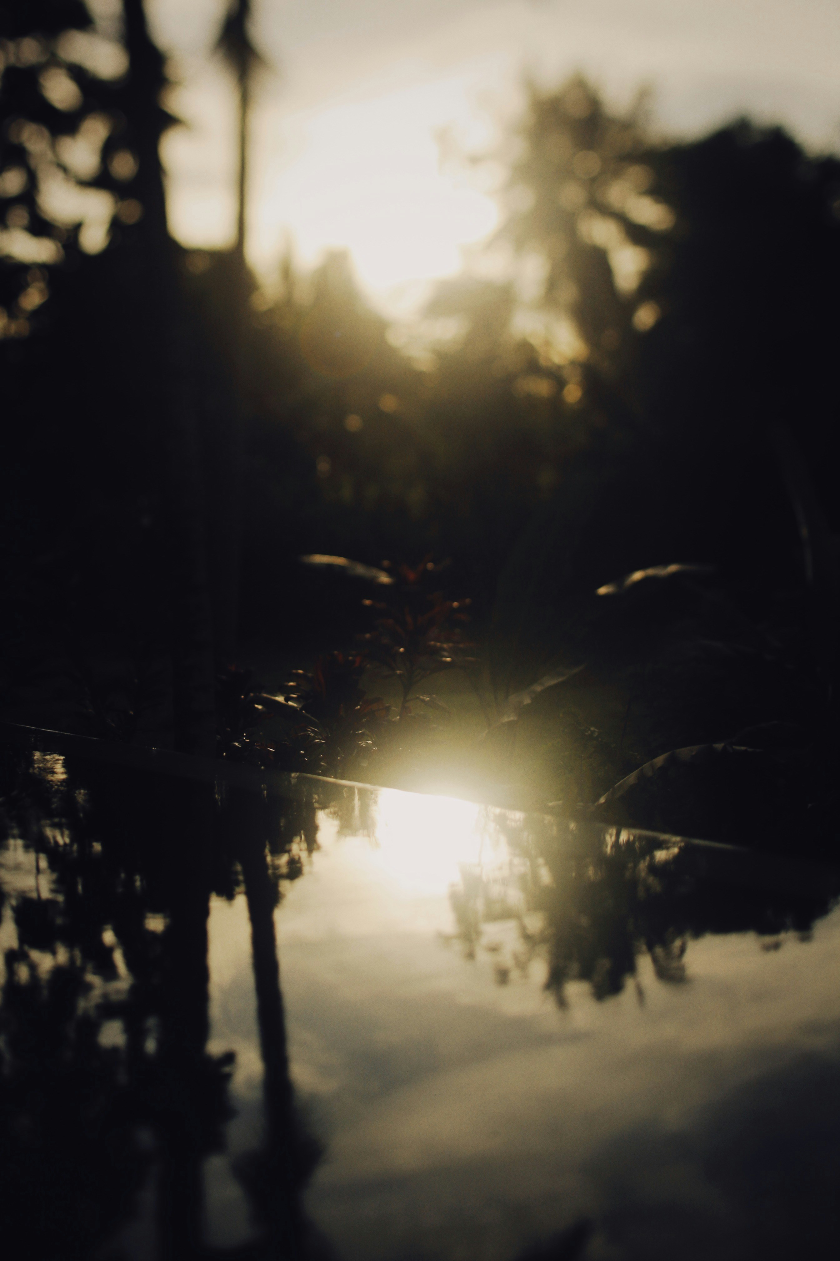 Photo by alexeydemidov