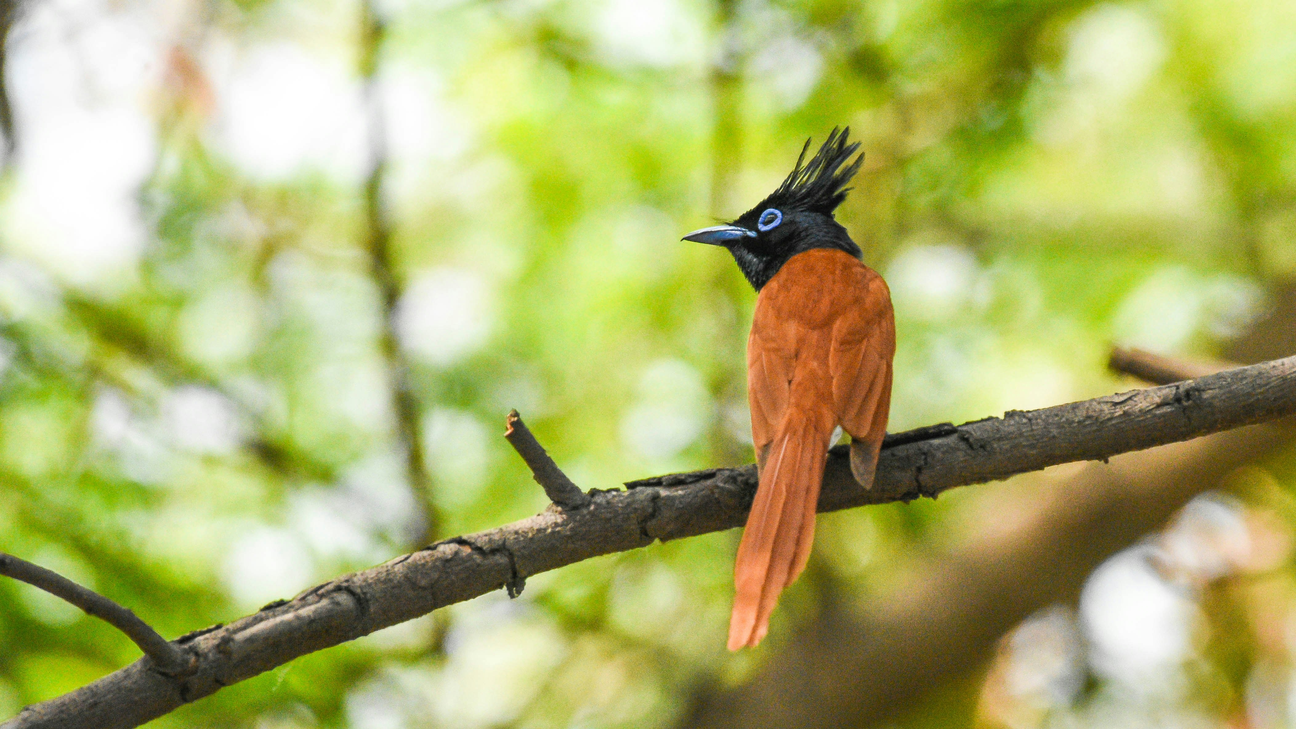 Photo by rahuldeshmukh18