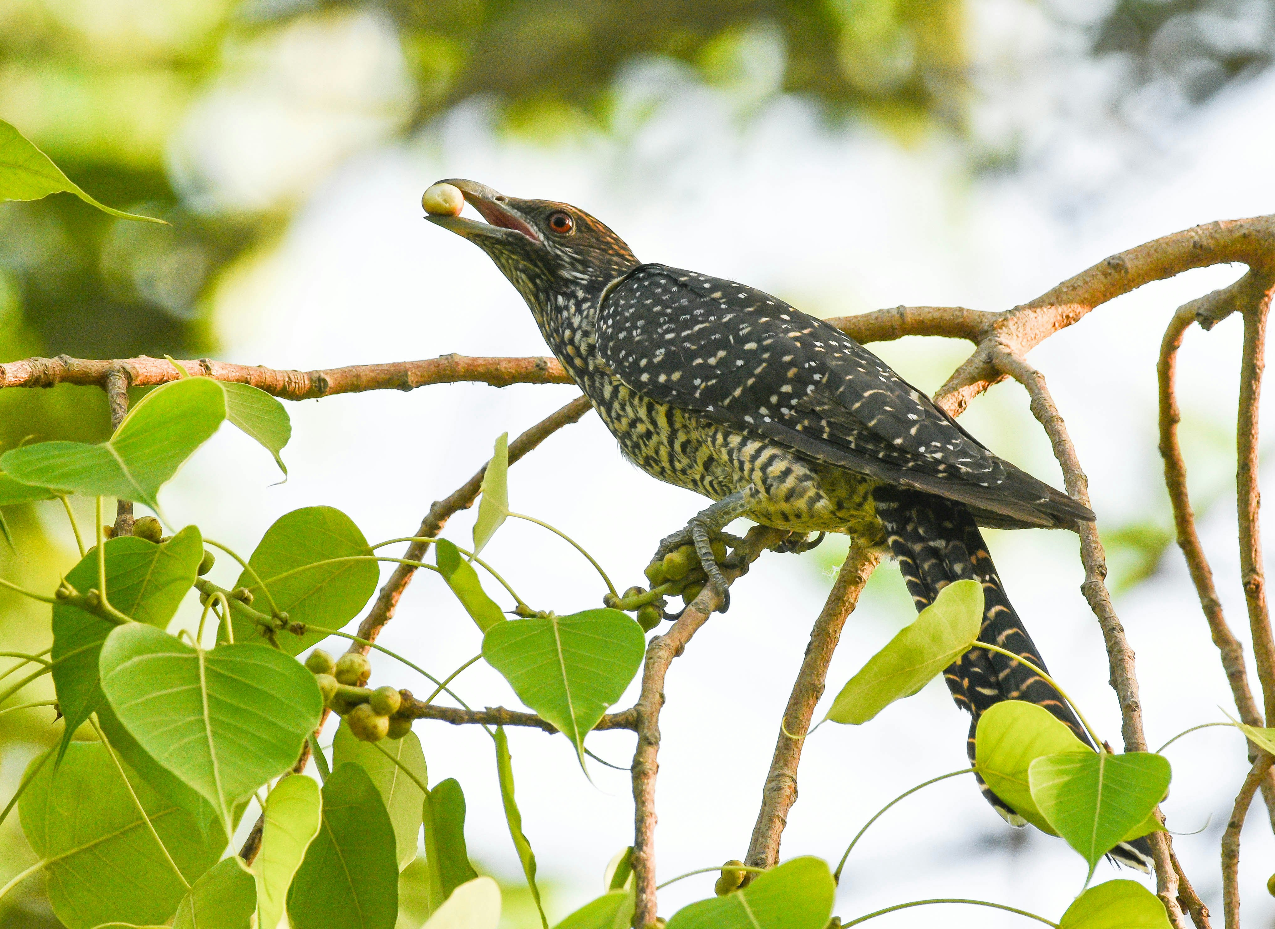 Photo by rahuldeshmukh18