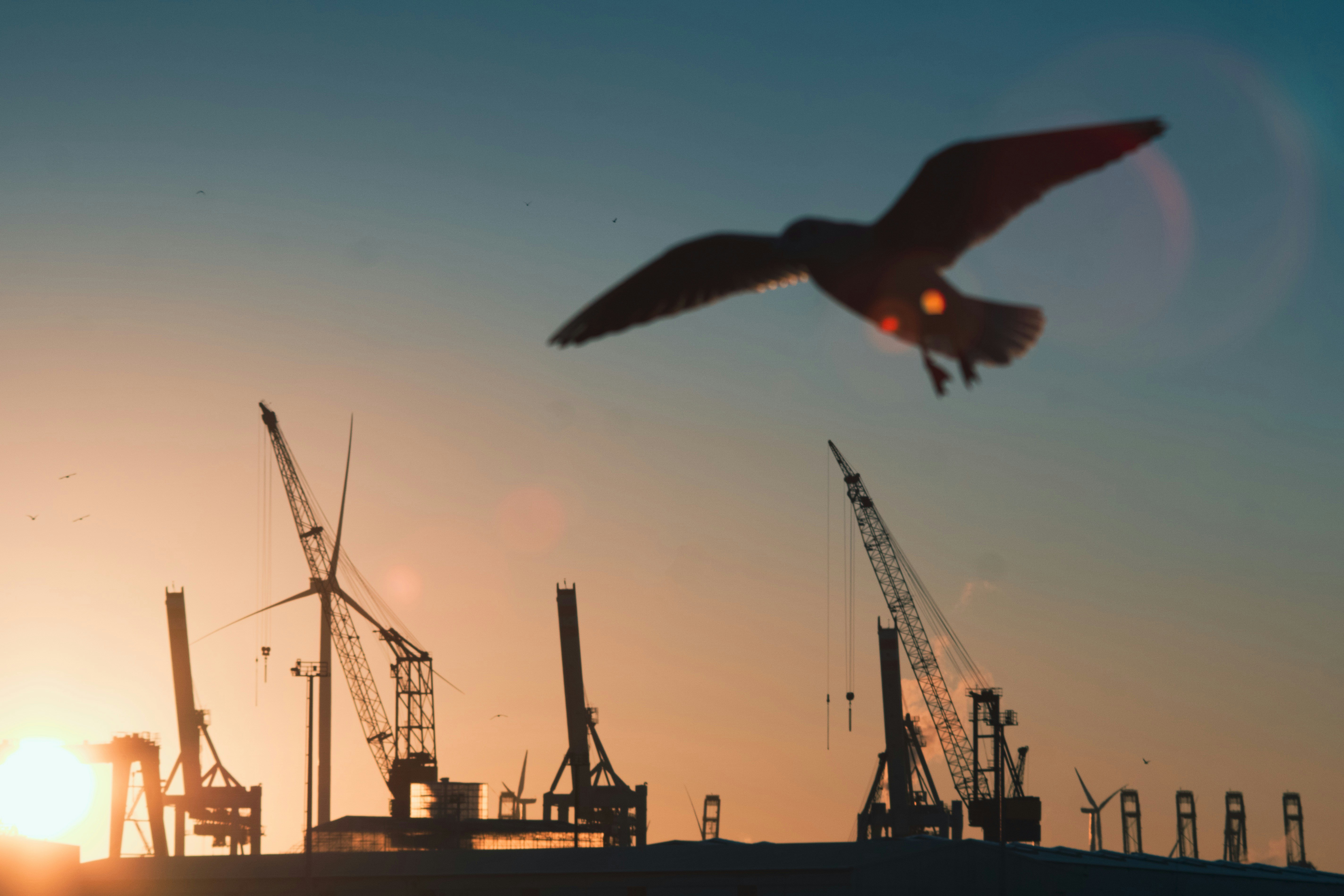 Photo by christianlue