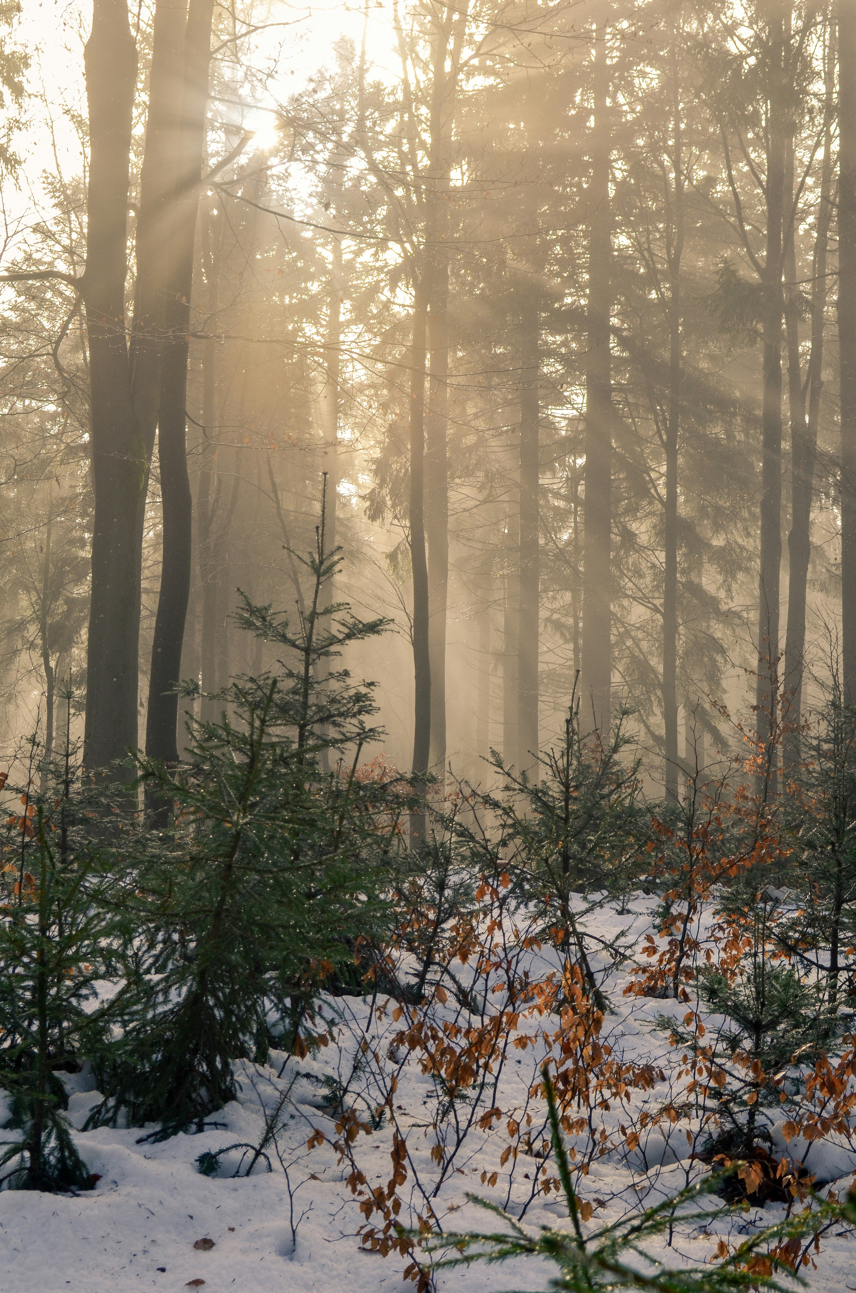 Photo by jetztabertempo