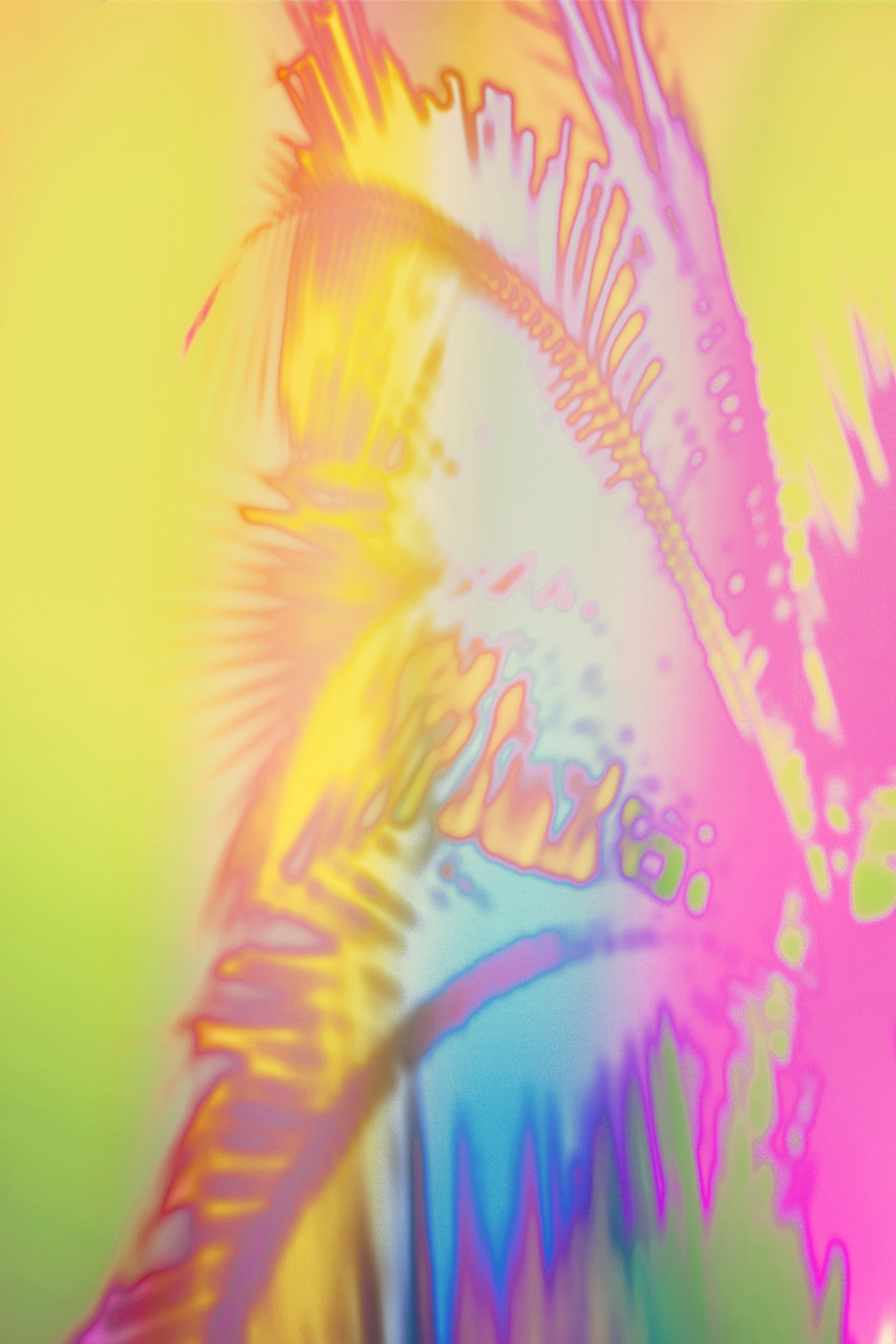 Bold colors and prints