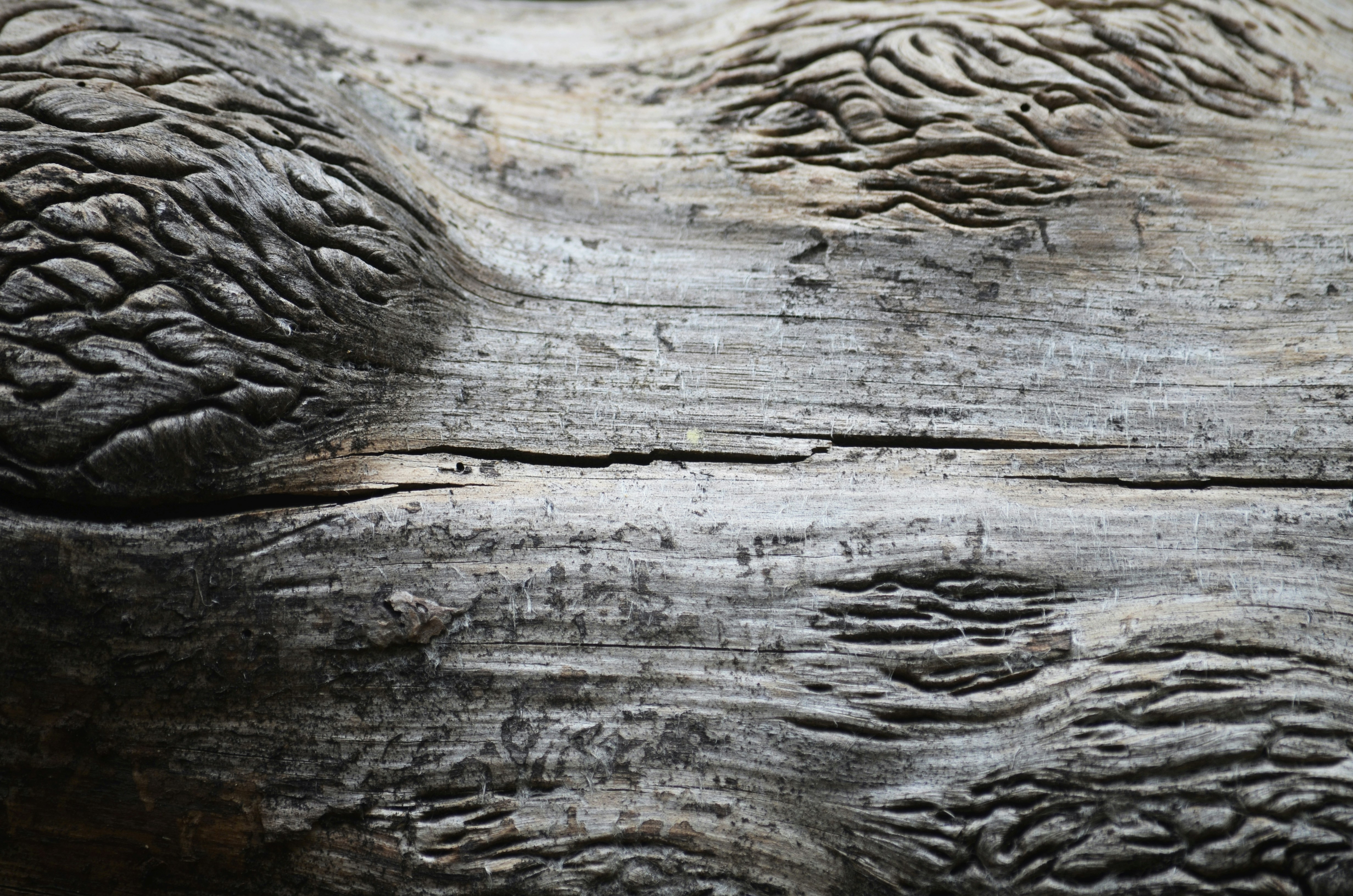 Photo by jetztabertempo