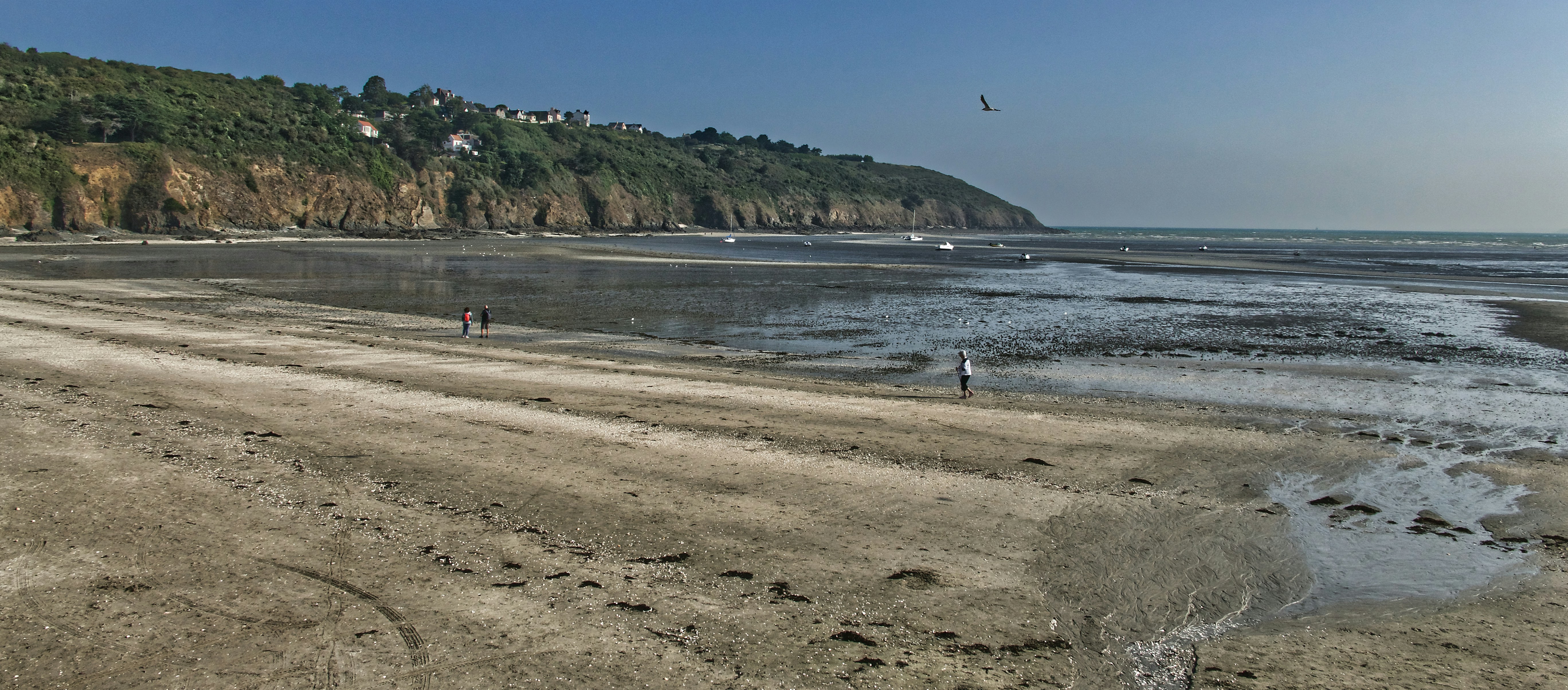 a sandy beach with a hill in the background