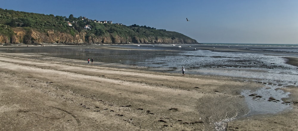 a sandy beach with a hill in the background