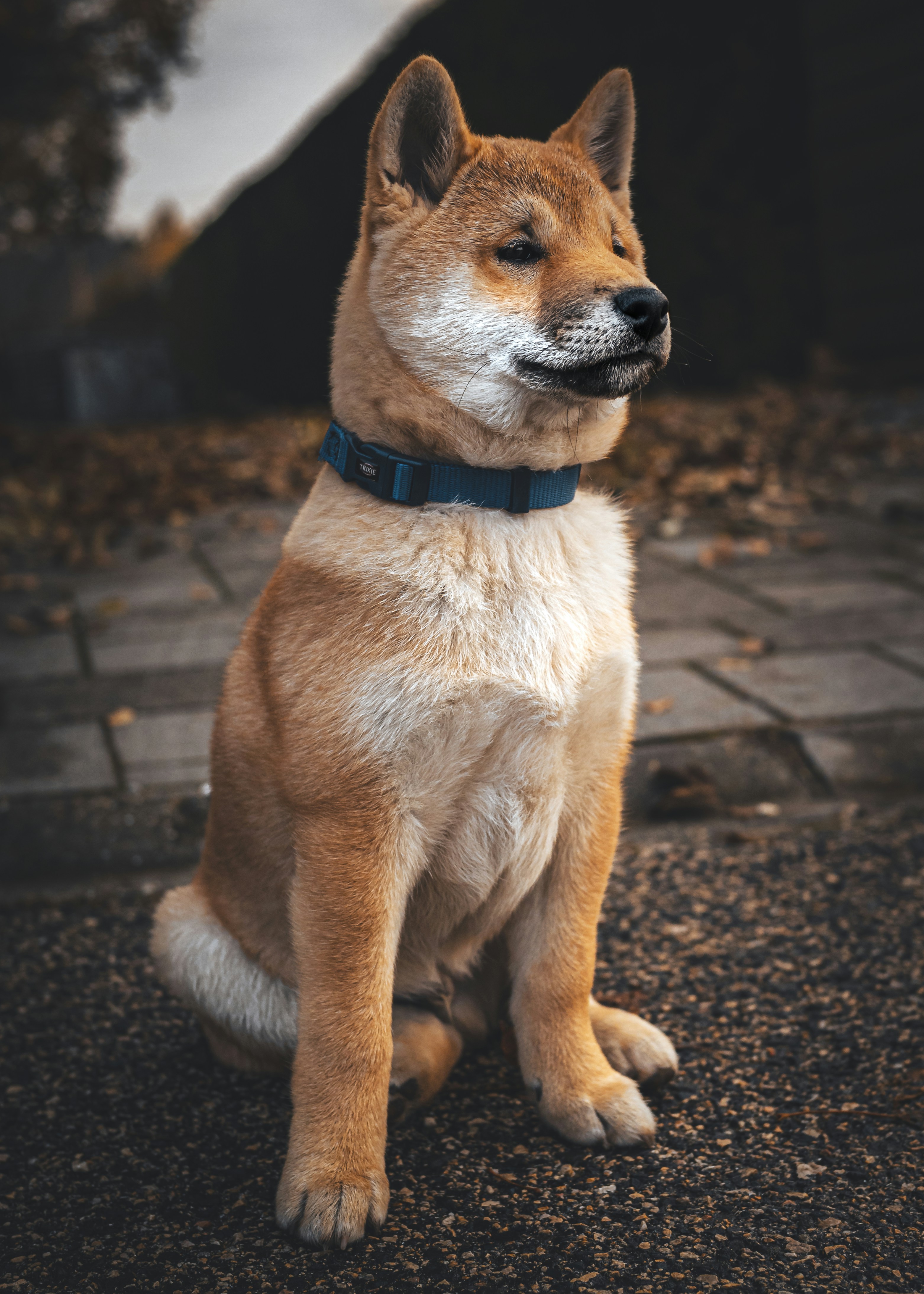 Photo by vargamatyas09