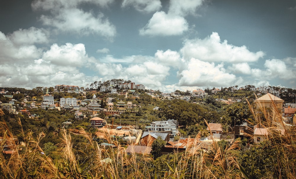 a view of a city from the top of a hill