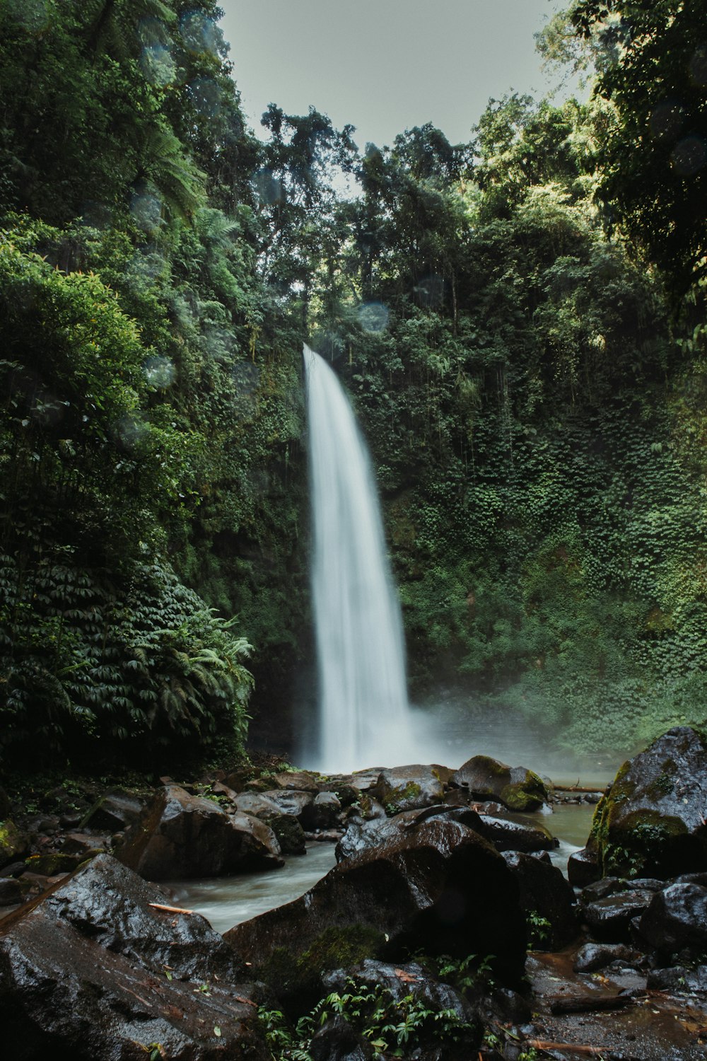 a large waterfall in the middle of a forest