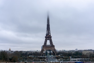 the eiffel tower towering over the city of paris